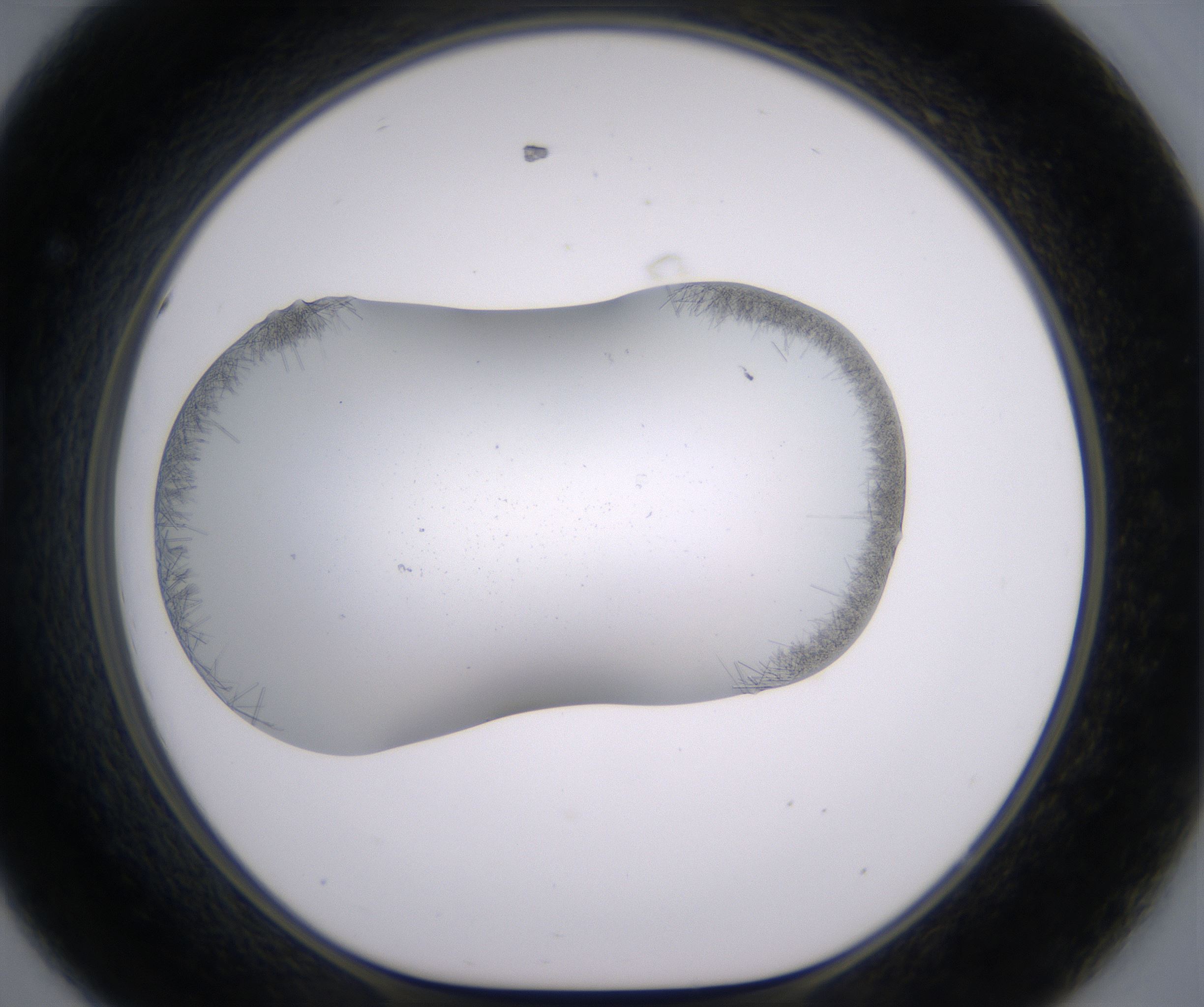 D8_HighResolution_Crystal_1.jpg