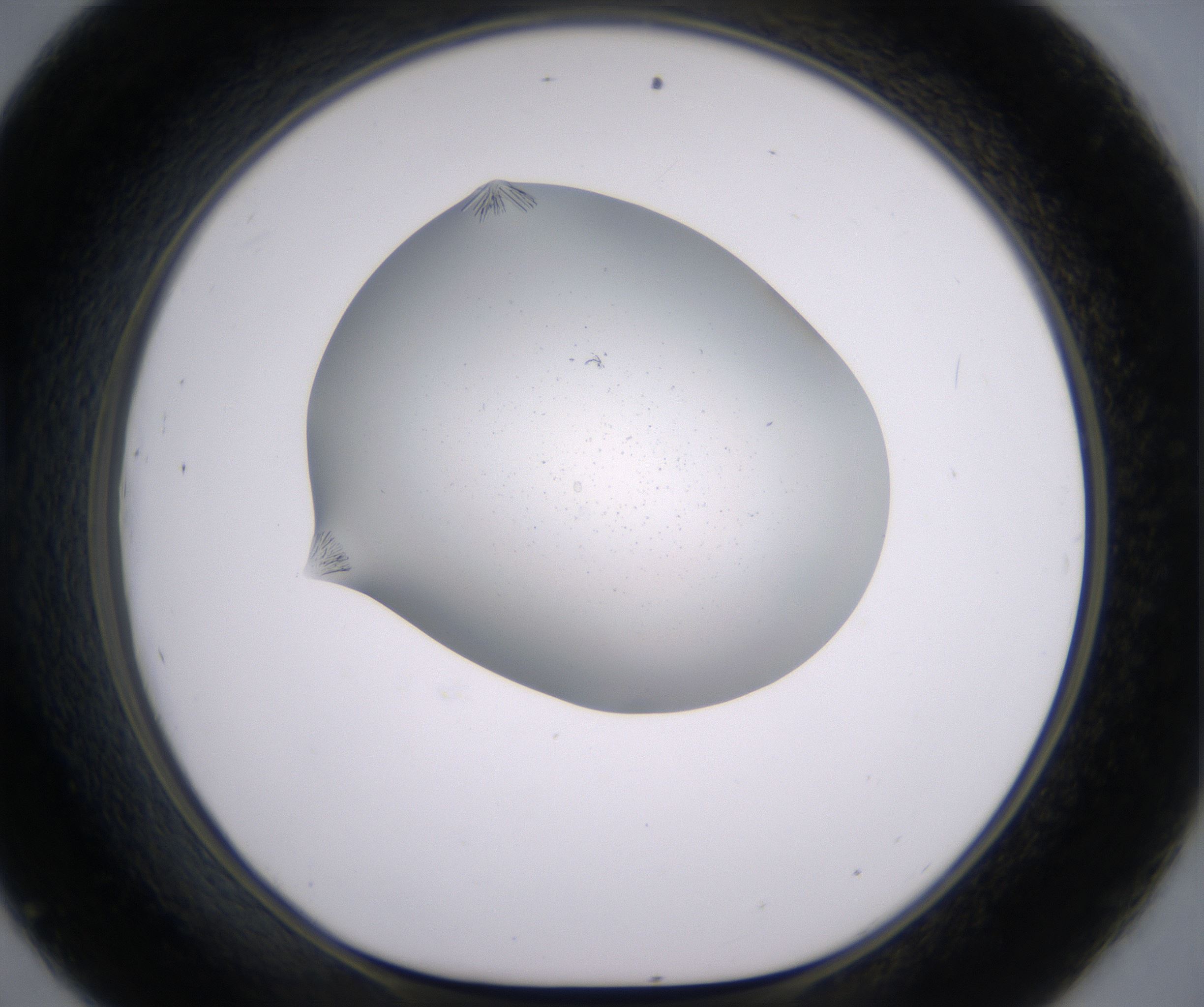 D9_HighResolution_Crystal_1.jpg