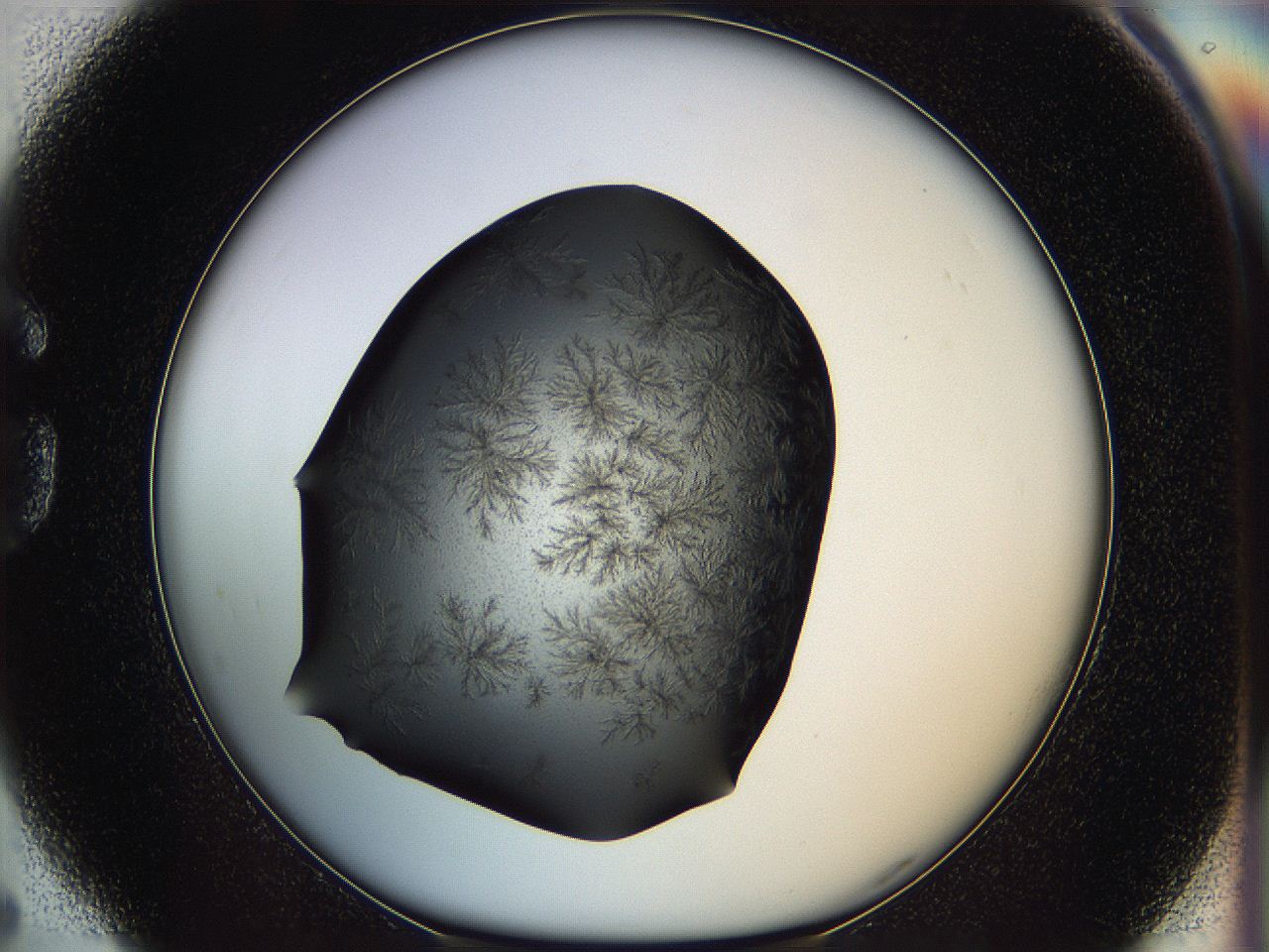 05iv_G5_ImagerDefaults_5.jpg