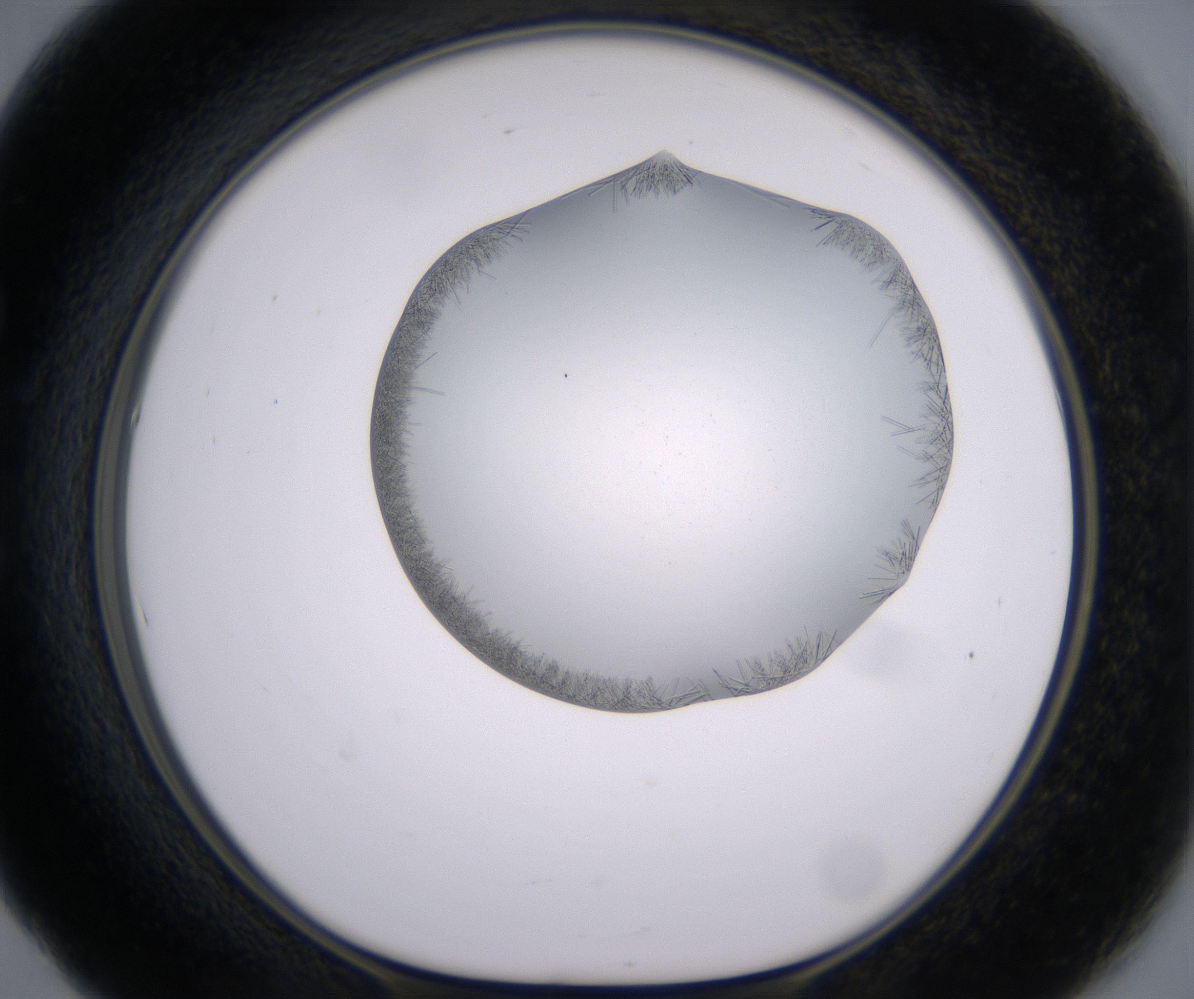 E5_HighResolution_Crystal_1.jpg
