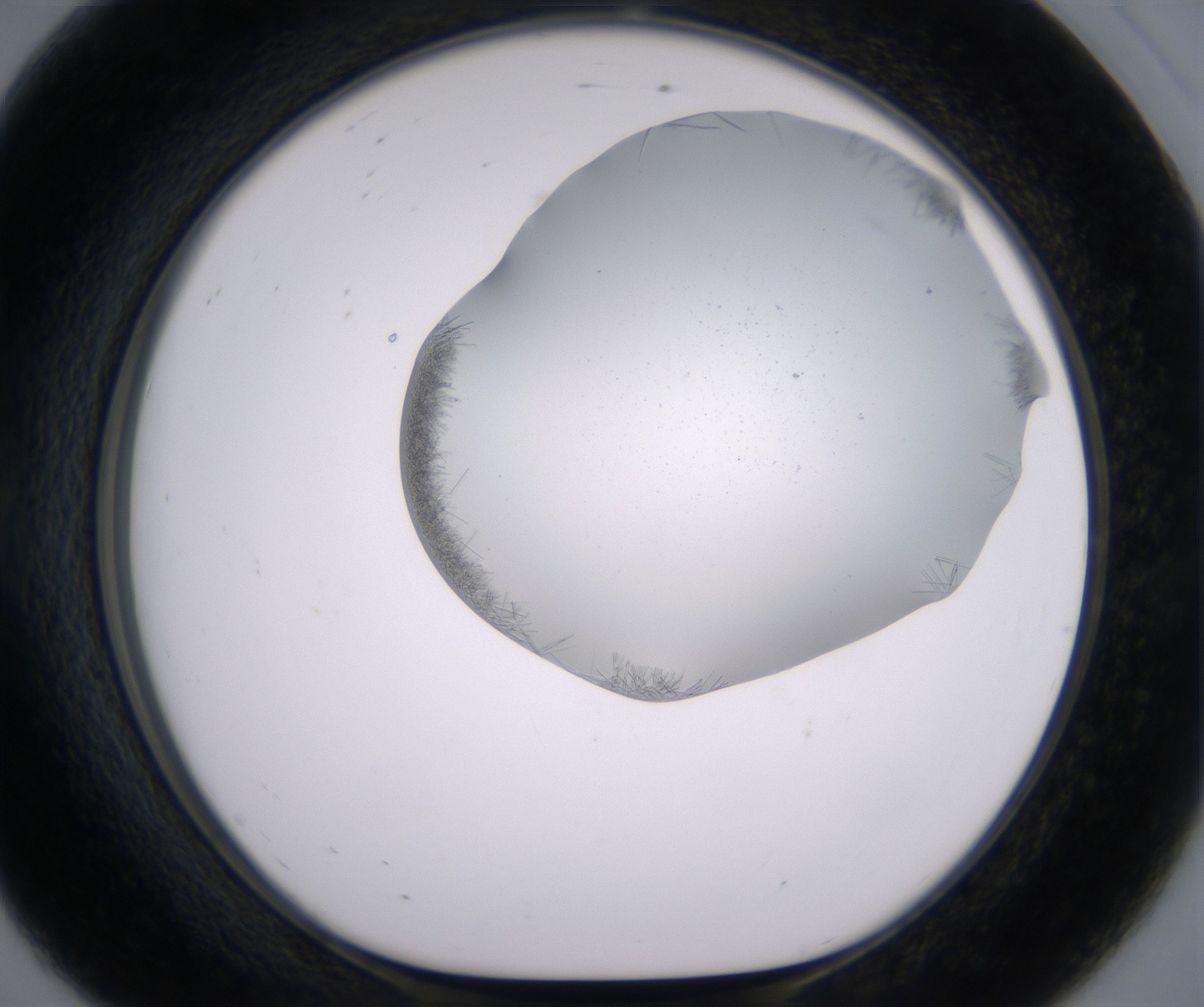 E8_HighResolution_Crystal_1.jpg
