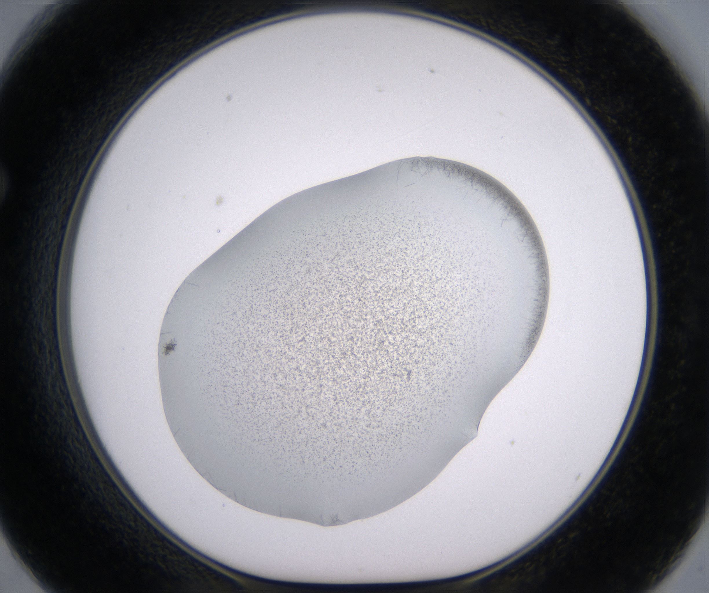 F2_HighResolution_Crystal_1.jpg