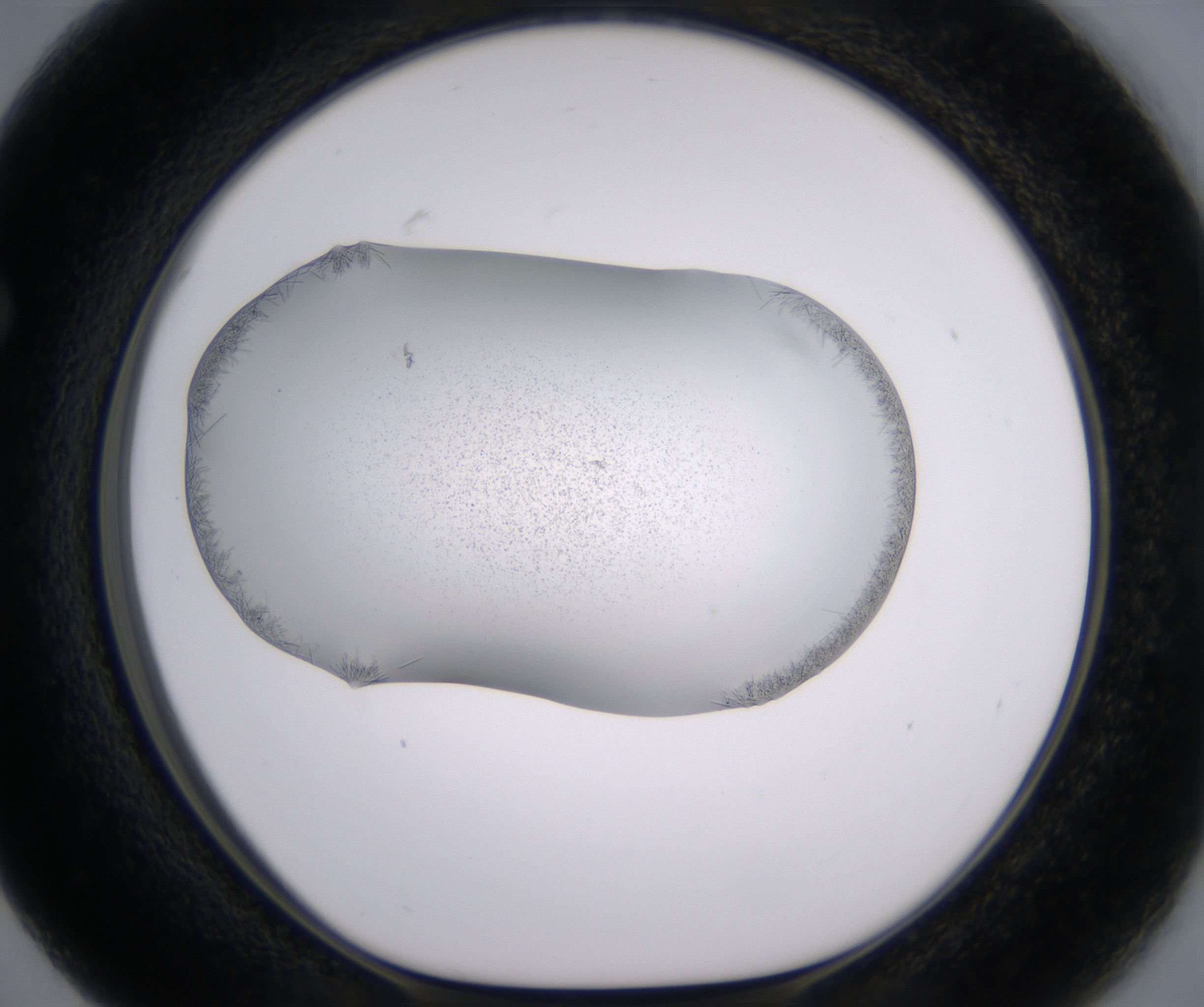 F3_HighResolution_Crystal_1.jpg