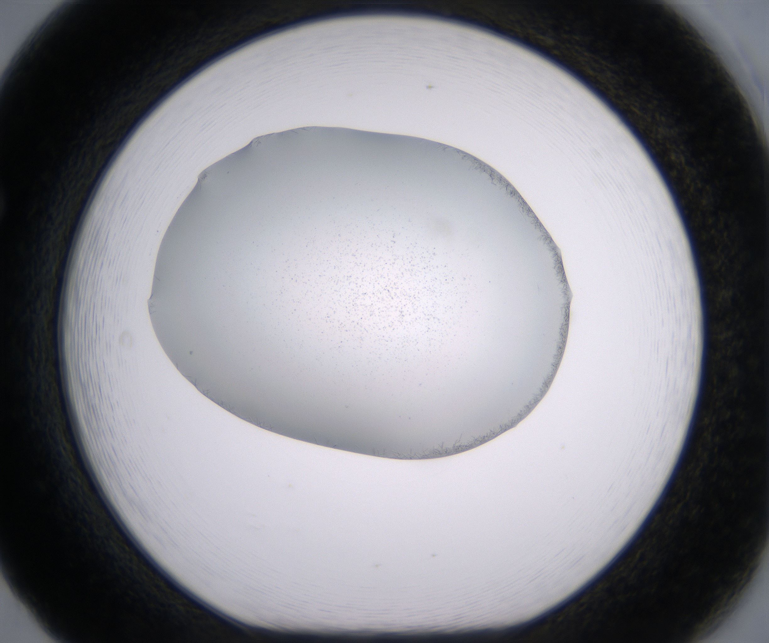 F5_HighResolution_Crystal_1.jpg