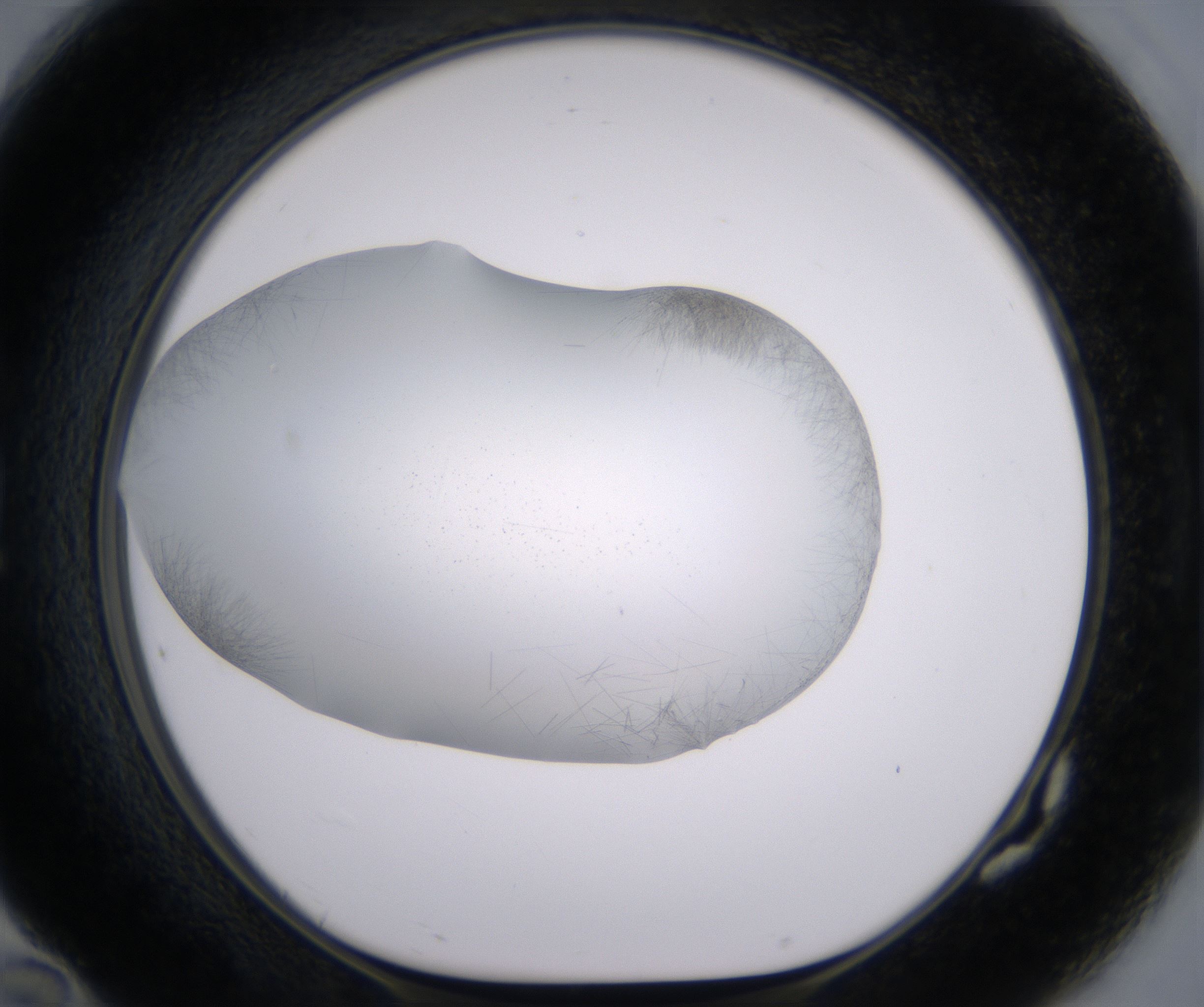 G10_HighResolution_Crystal_1.jpg