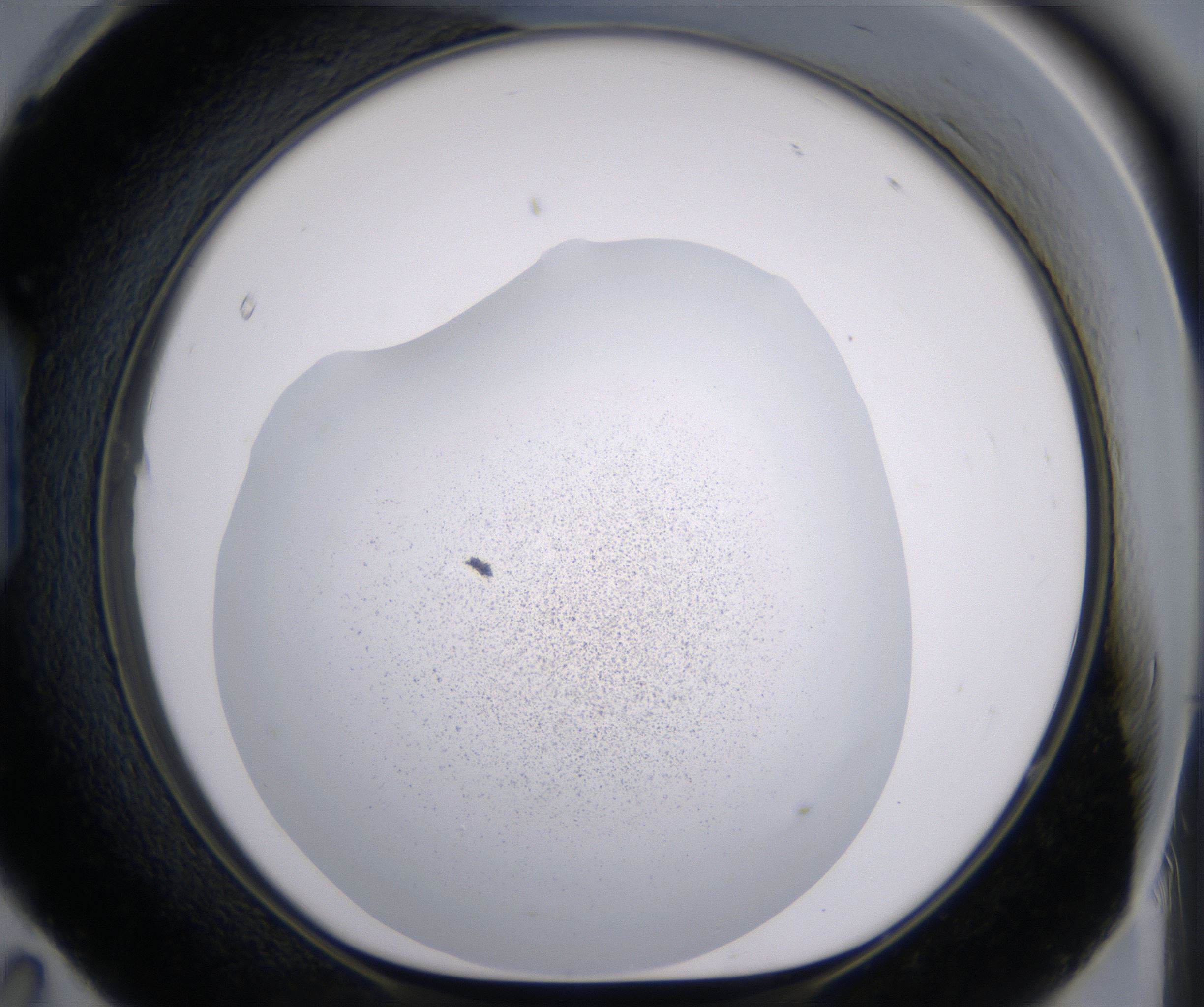 H11_HighResolution_Precipitate_1.jpg