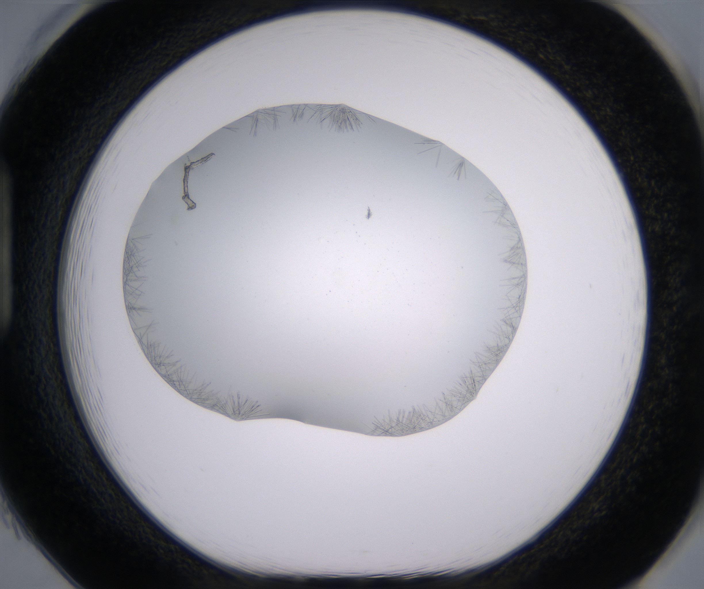 H1_HighResolution_Crystal_1.jpg