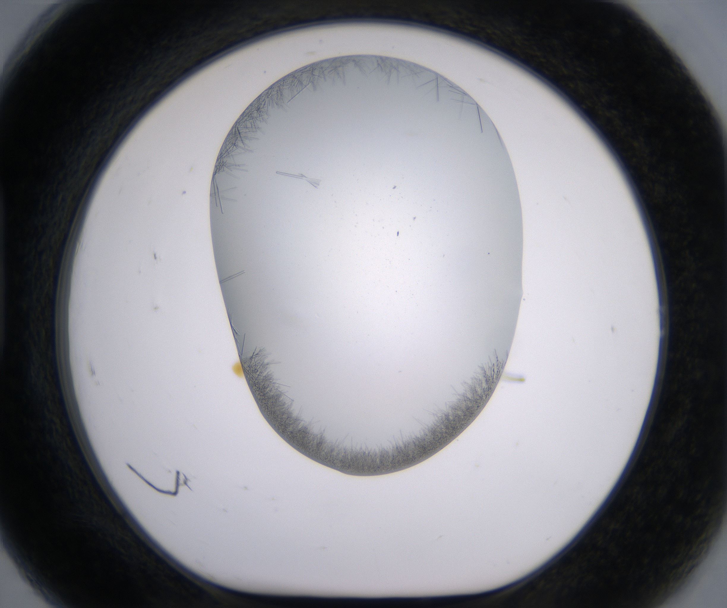 H7_HighResolution_Crystal_1.jpg