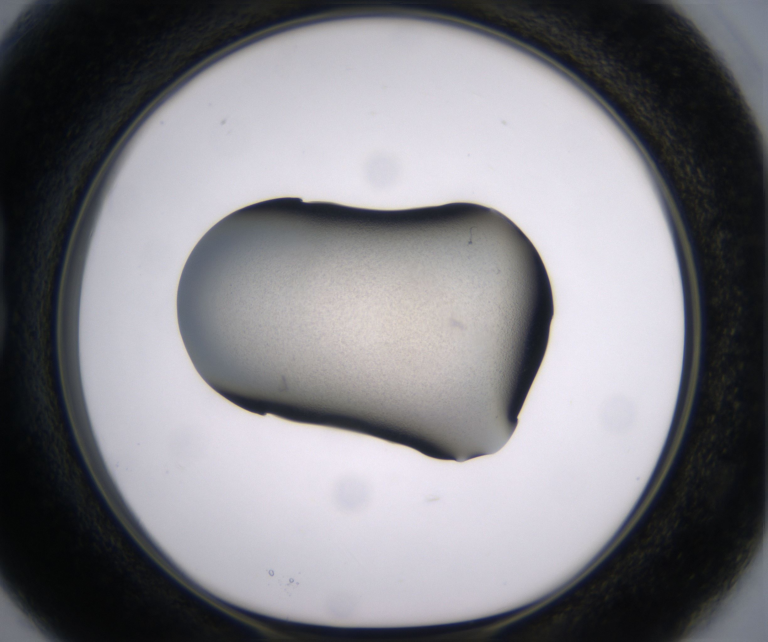 B3_HighResolution_Precipitate_1.jpg