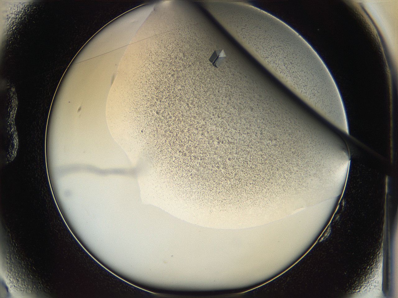 05iv_B2_ImagerDefaults_9.jpg