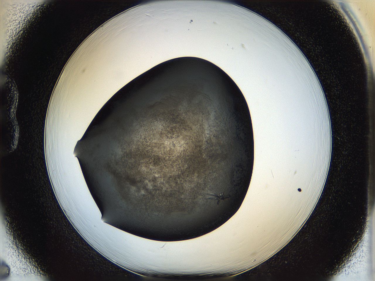 05iv_B6_ImagerDefaults_7.jpg