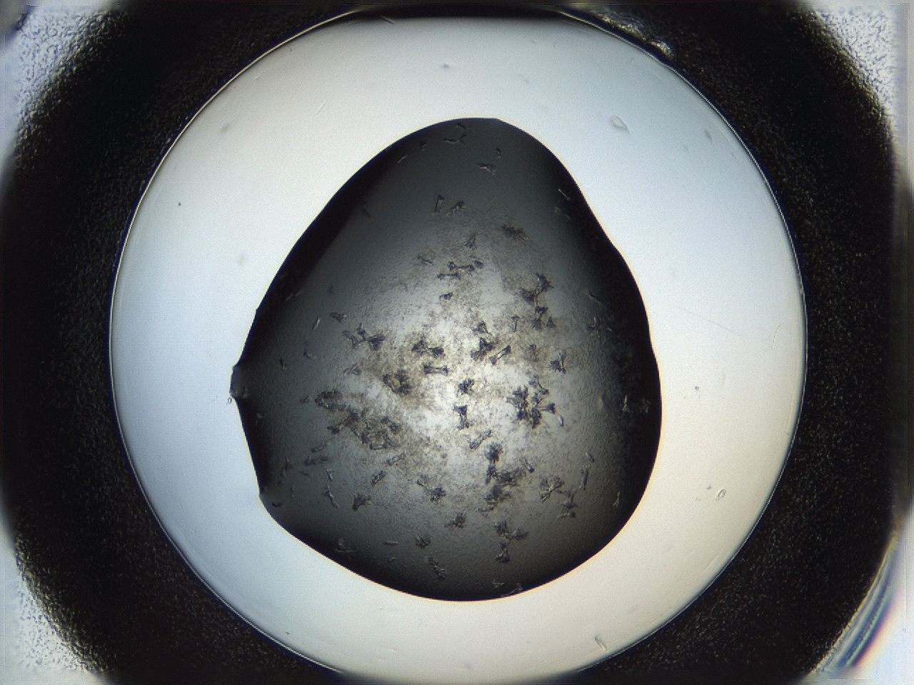 05iv_B6_ImagerDefaults_6.jpg