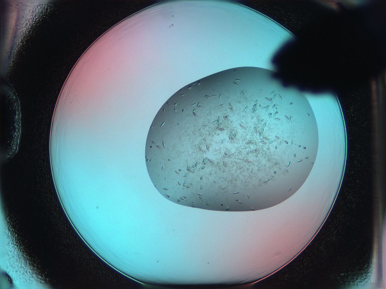 05iw_D3_ImagerDefaults_9.jpg