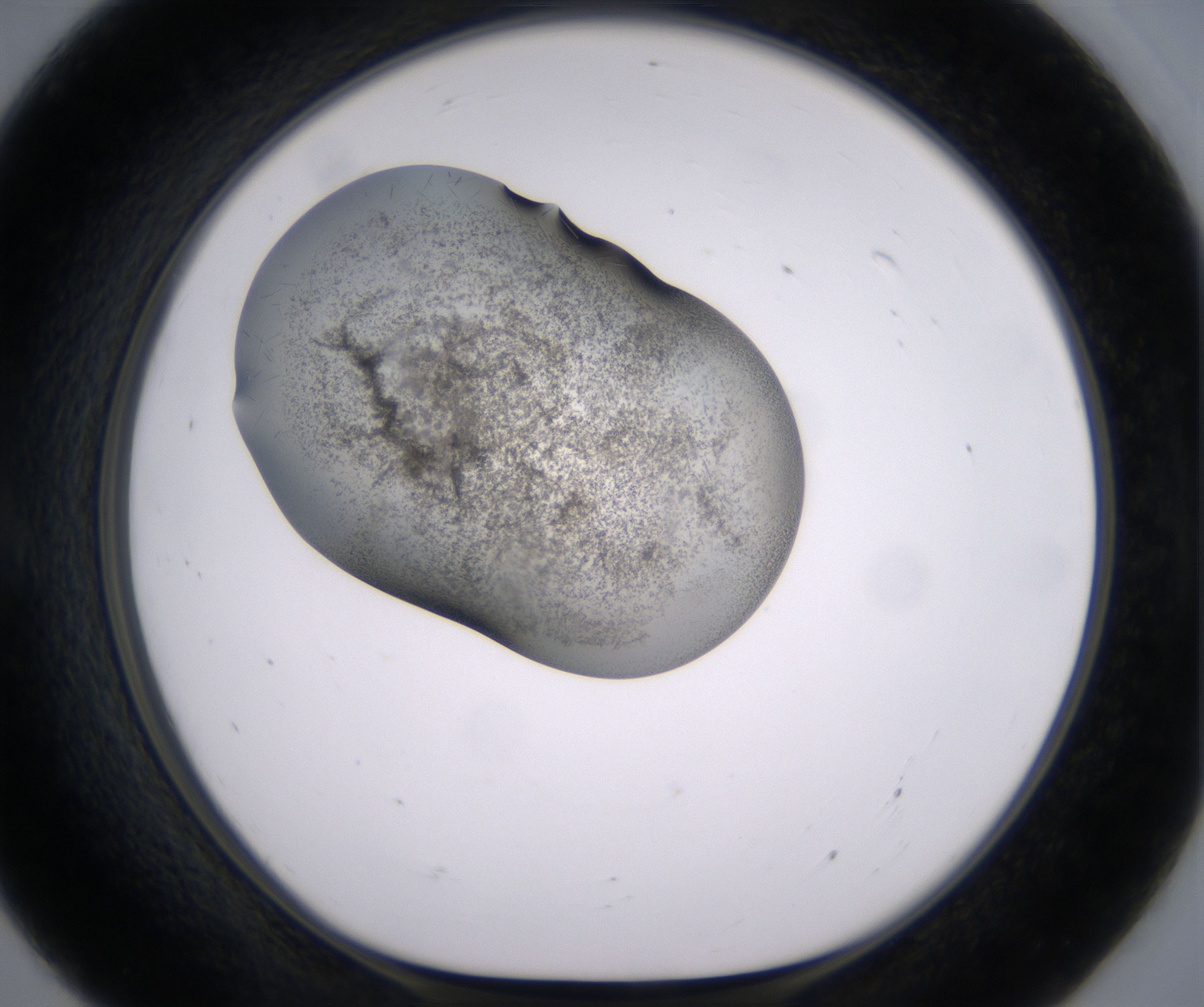 E7_HighResolution_Crystal_1.jpg