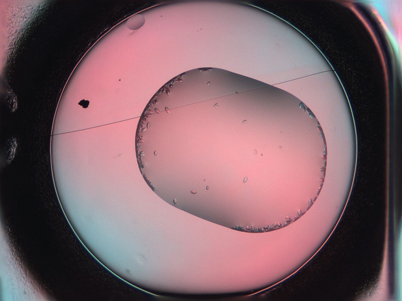 05iw_C1_ImagerDefaults_9.jpg