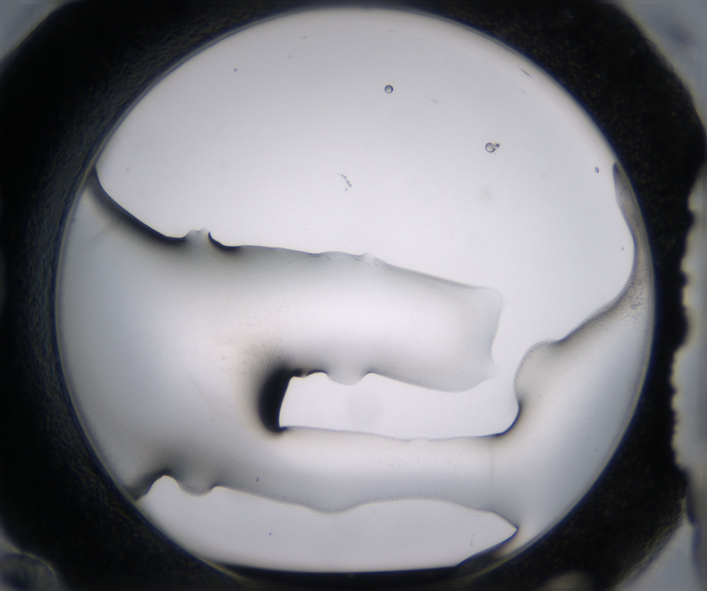 G12_HighResolution_Precipitate_1.jpg