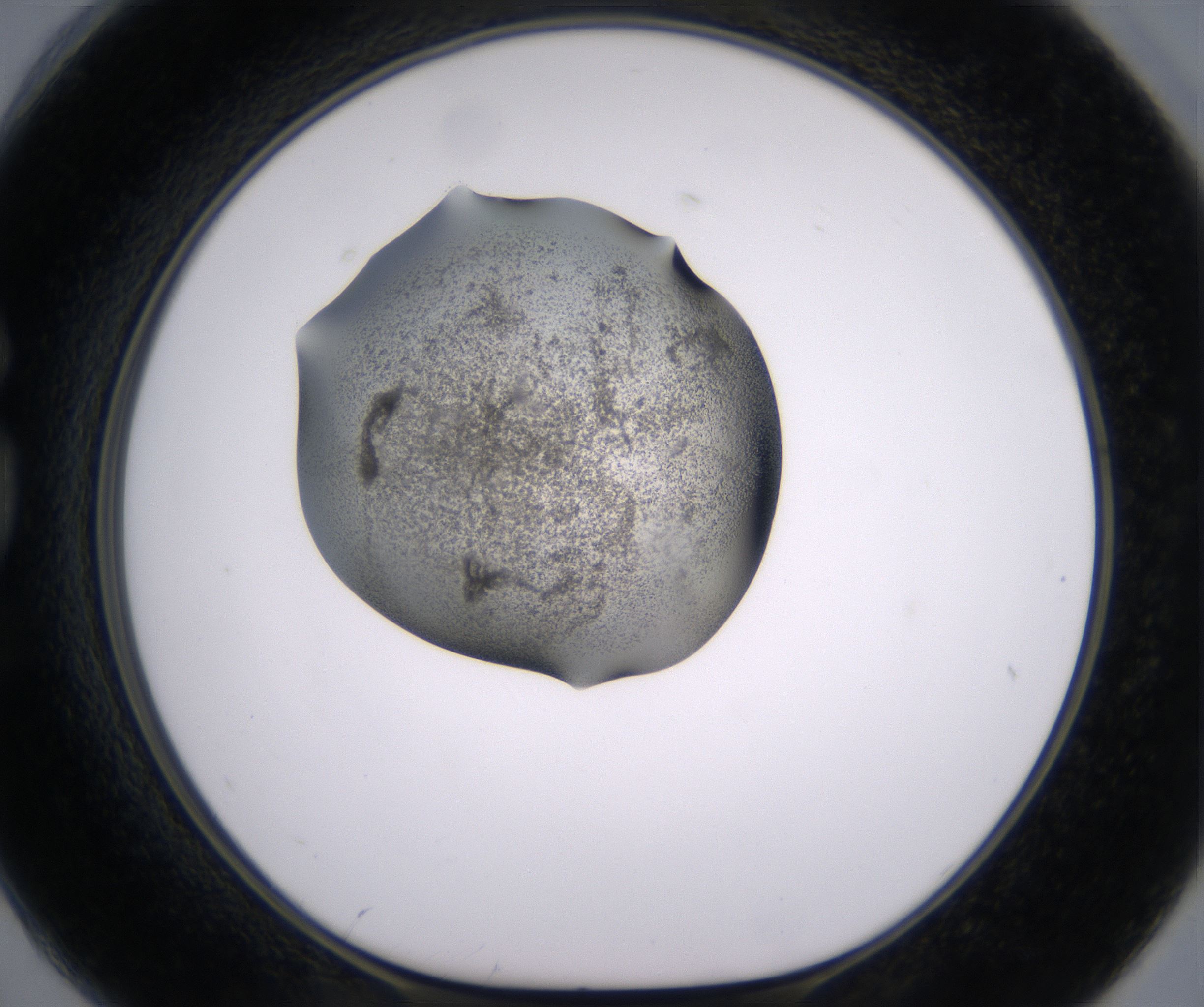 G2_HighResolution_Precipitate_1.jpg