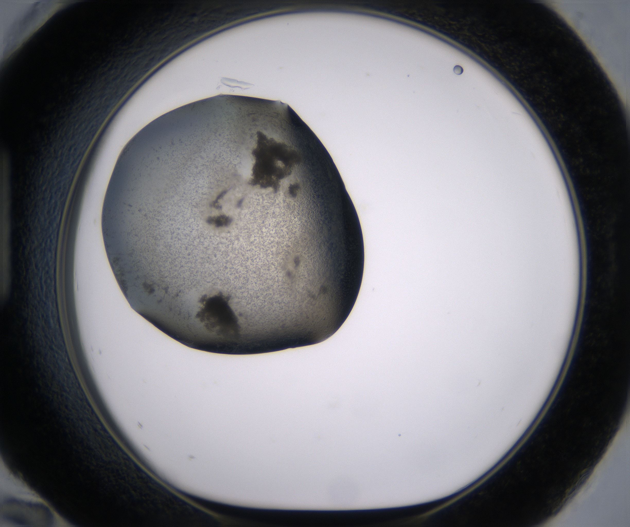 H12_HighResolution_Precipitate_1.jpg