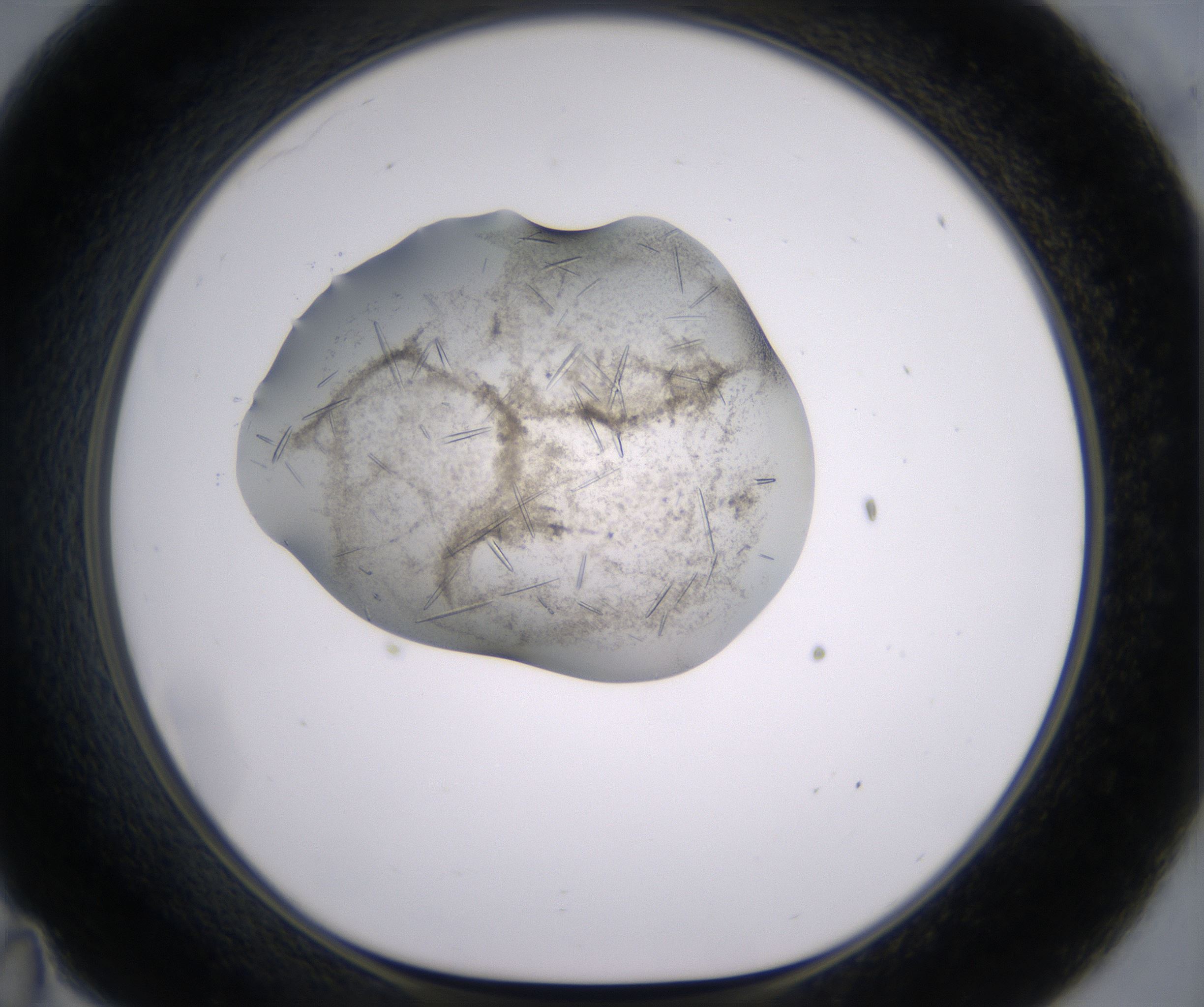 C11_HighResolution_Crystal_1.jpg