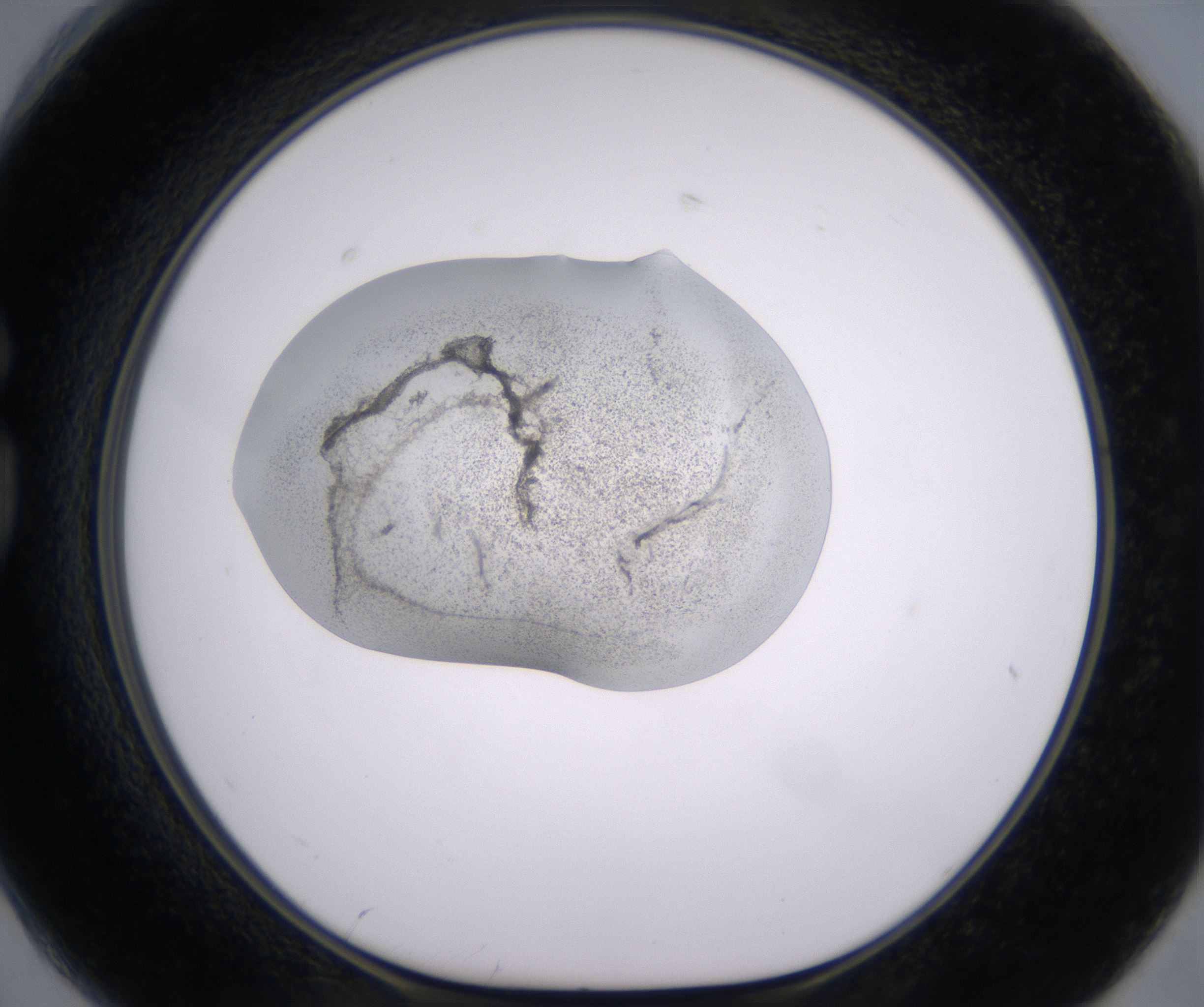 G2_HighResolution_Precipitate_1.jpg