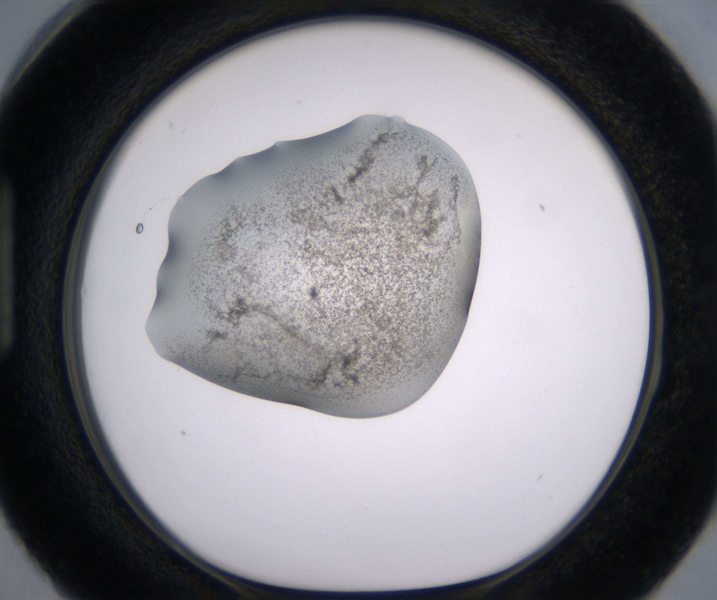 H3_HighResolution_Precipitate_1.jpg