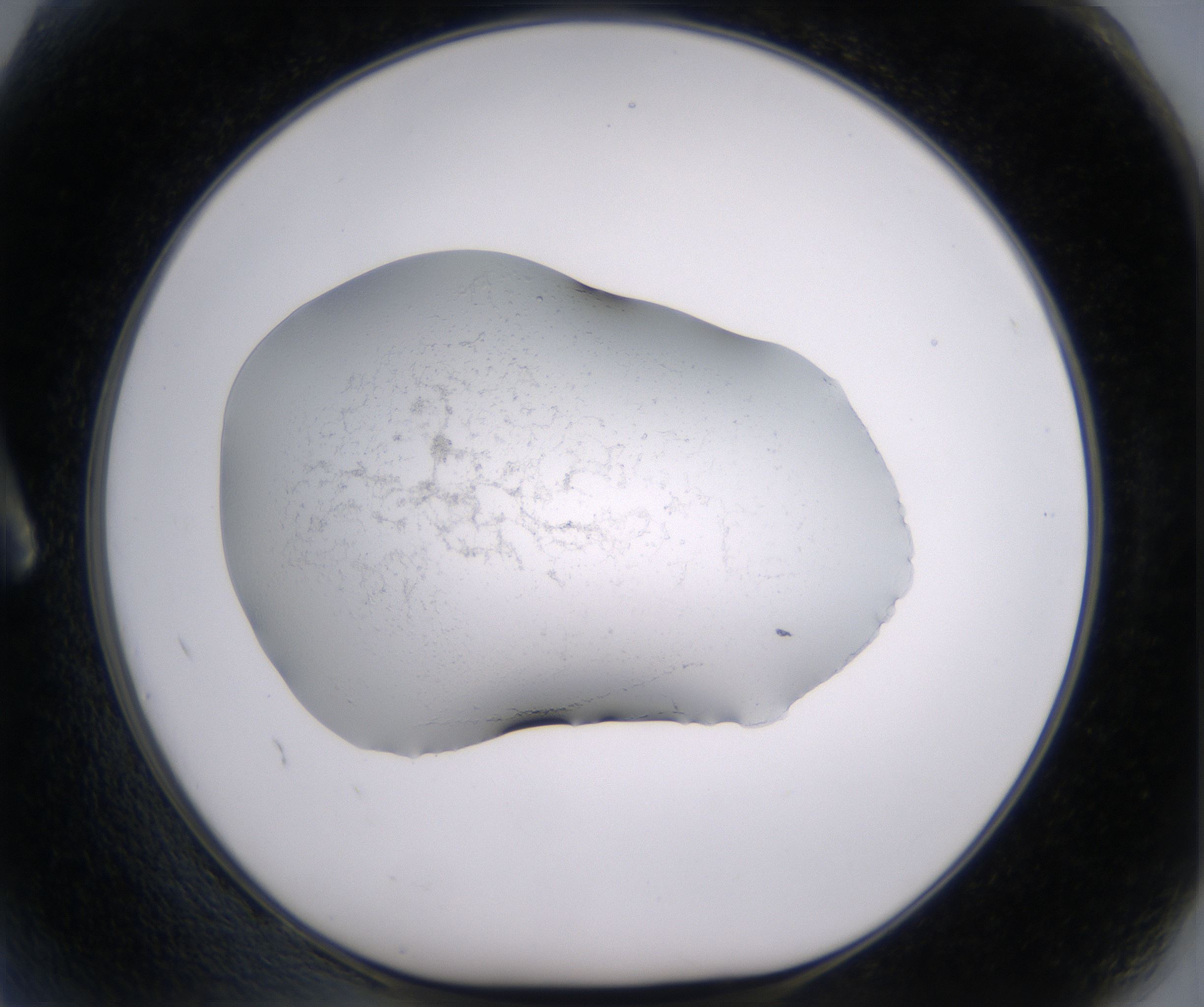 A2_HighResolution_Precipitate_1.jpg
