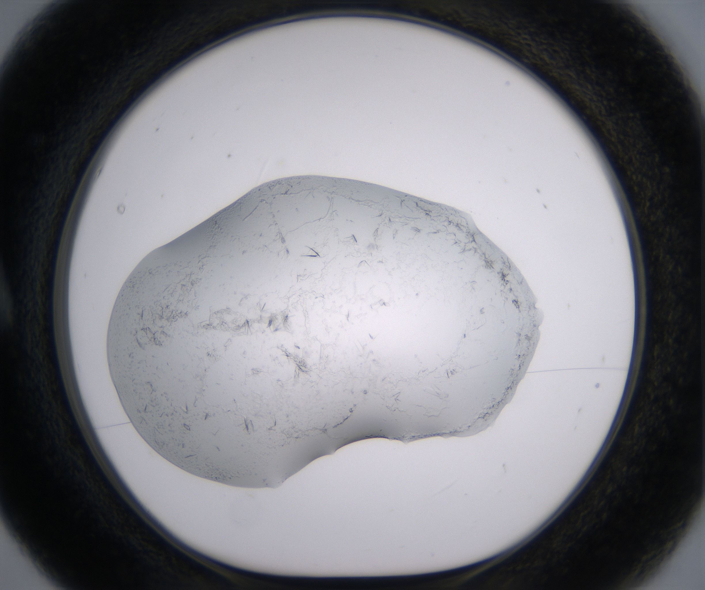 A5_HighResolution_Crystal_1.jpg