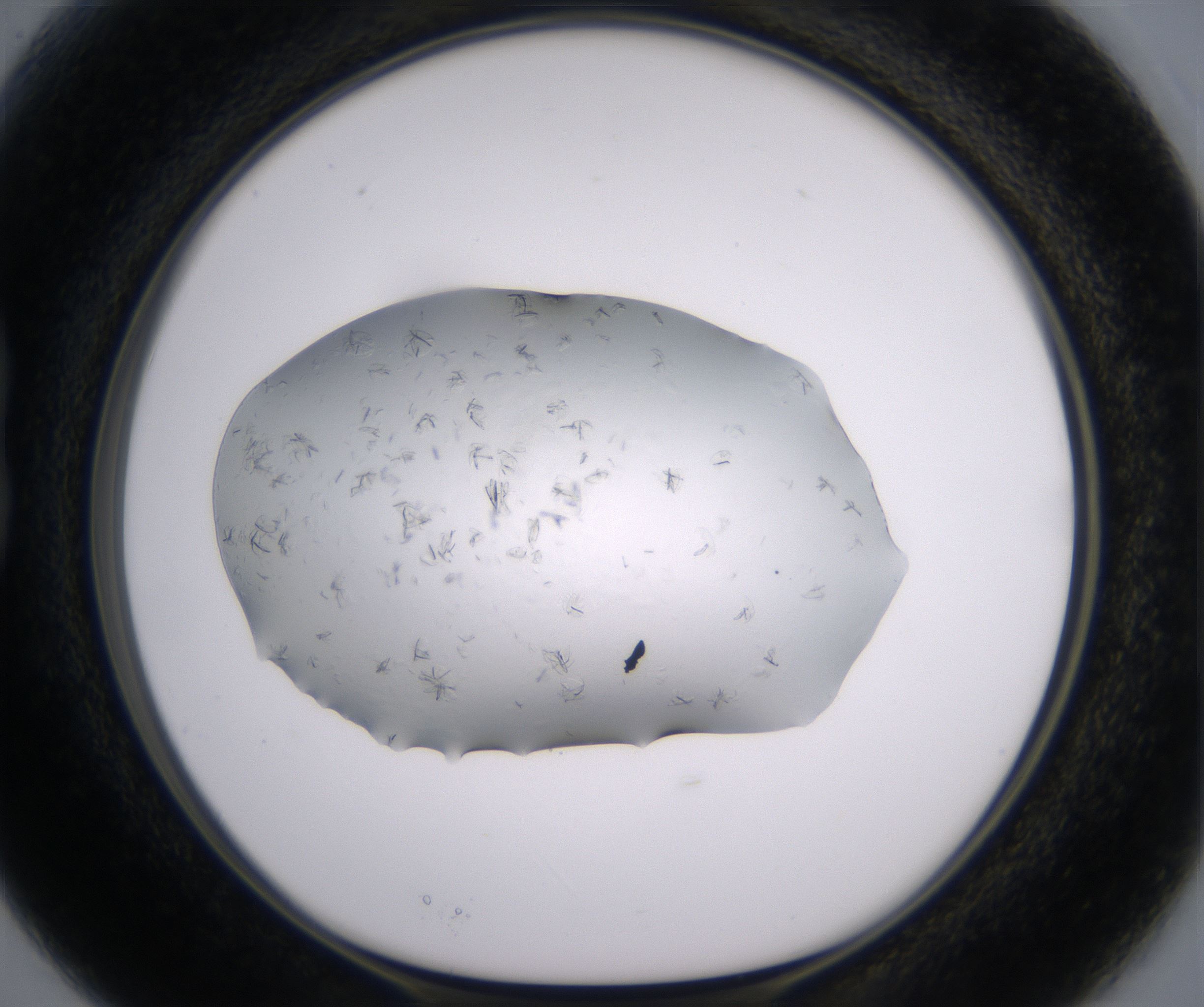 B3_HighResolution_Crystal_1.jpg