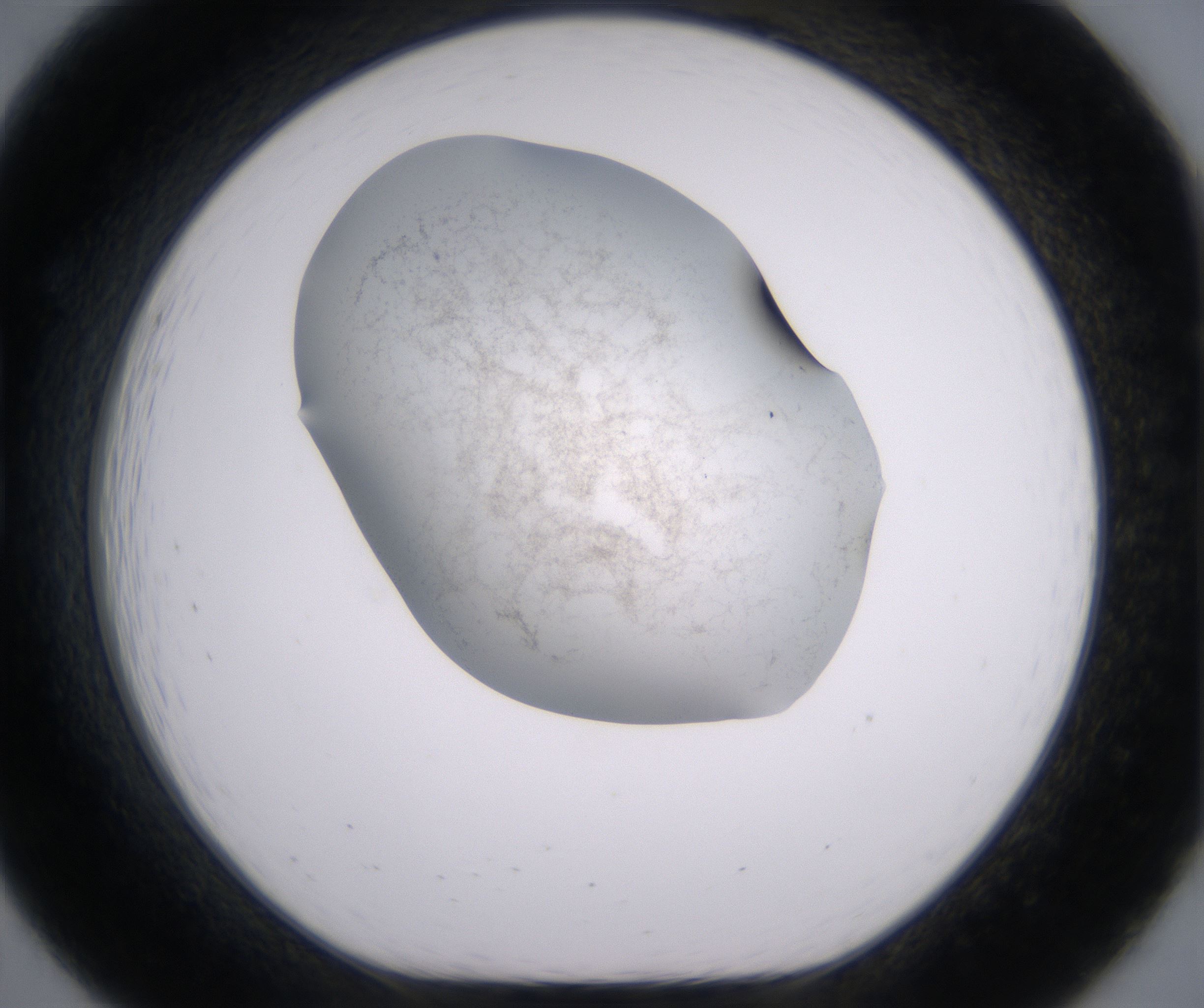 B7_HighResolution_Precipitate_1.jpg