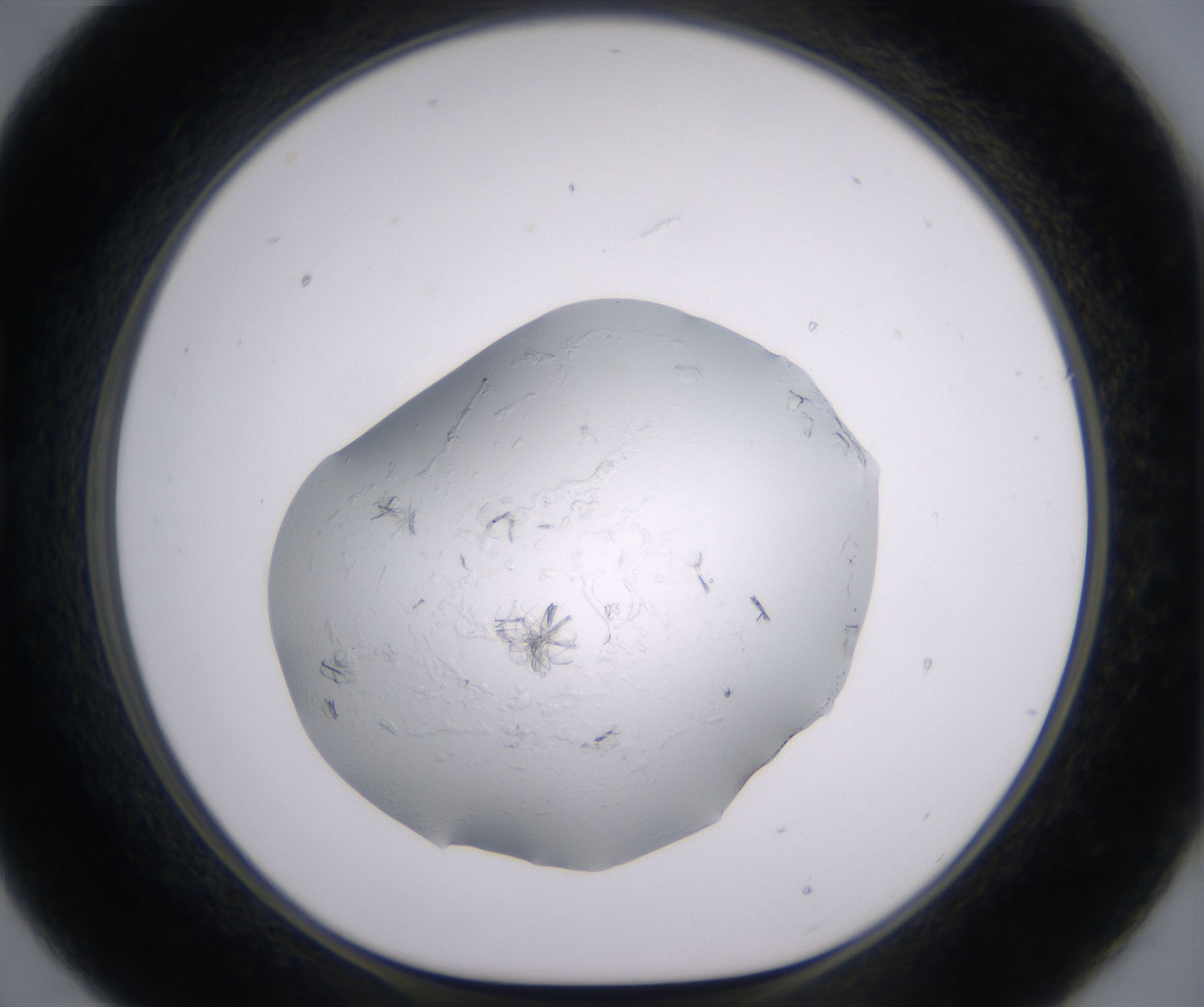 B9_HighResolution_Crystal_1.jpg