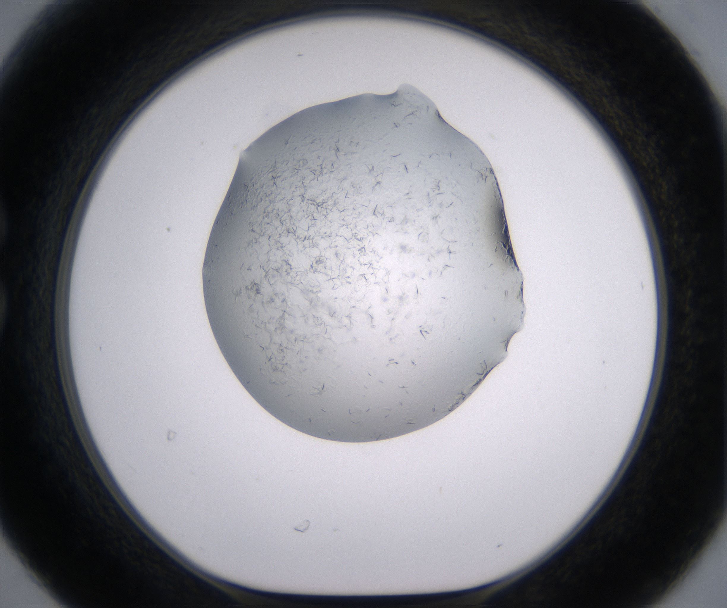 C6_HighResolution_Crystal_1.jpg