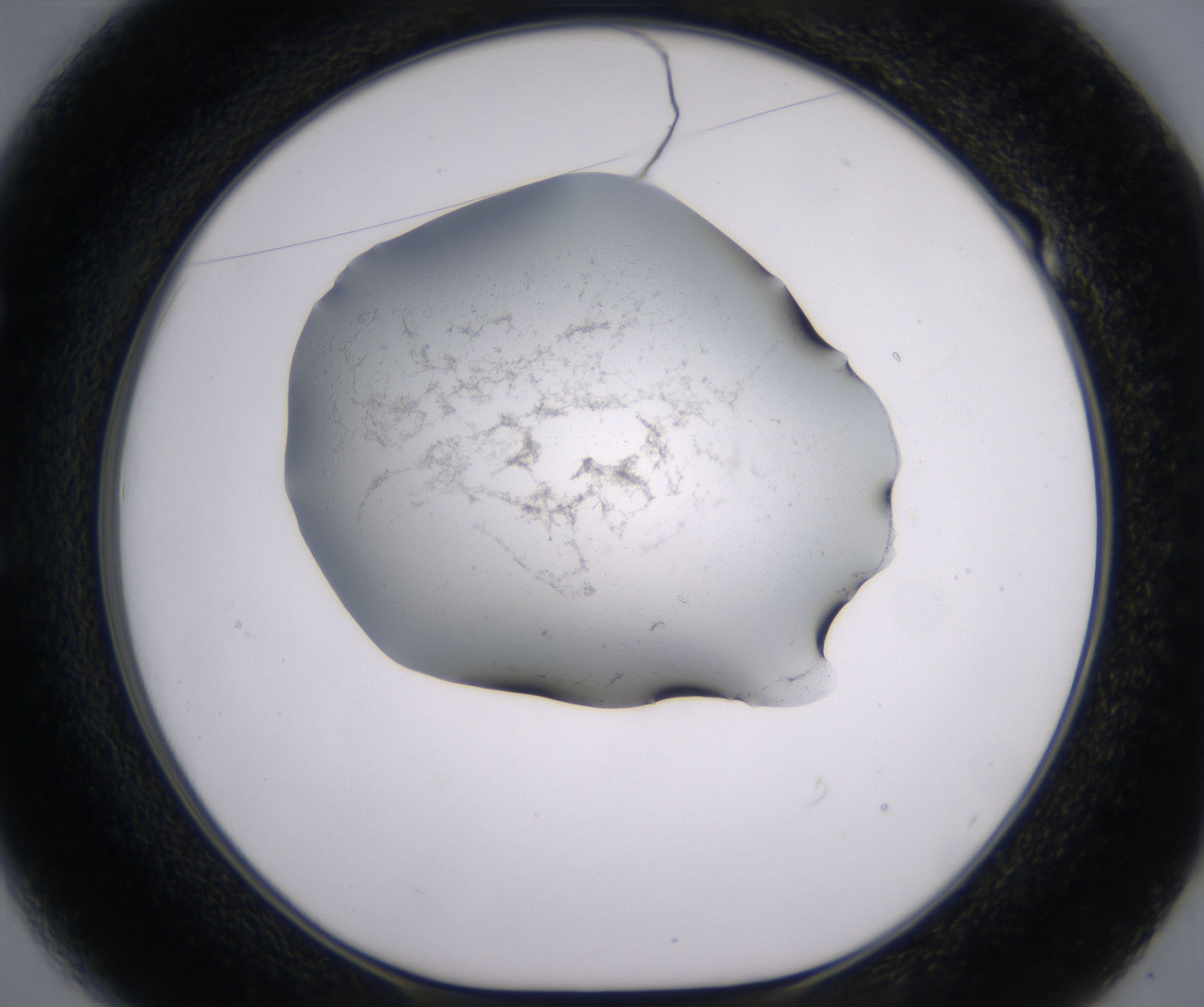 E1_HighResolution_Precipitate_1.jpg
