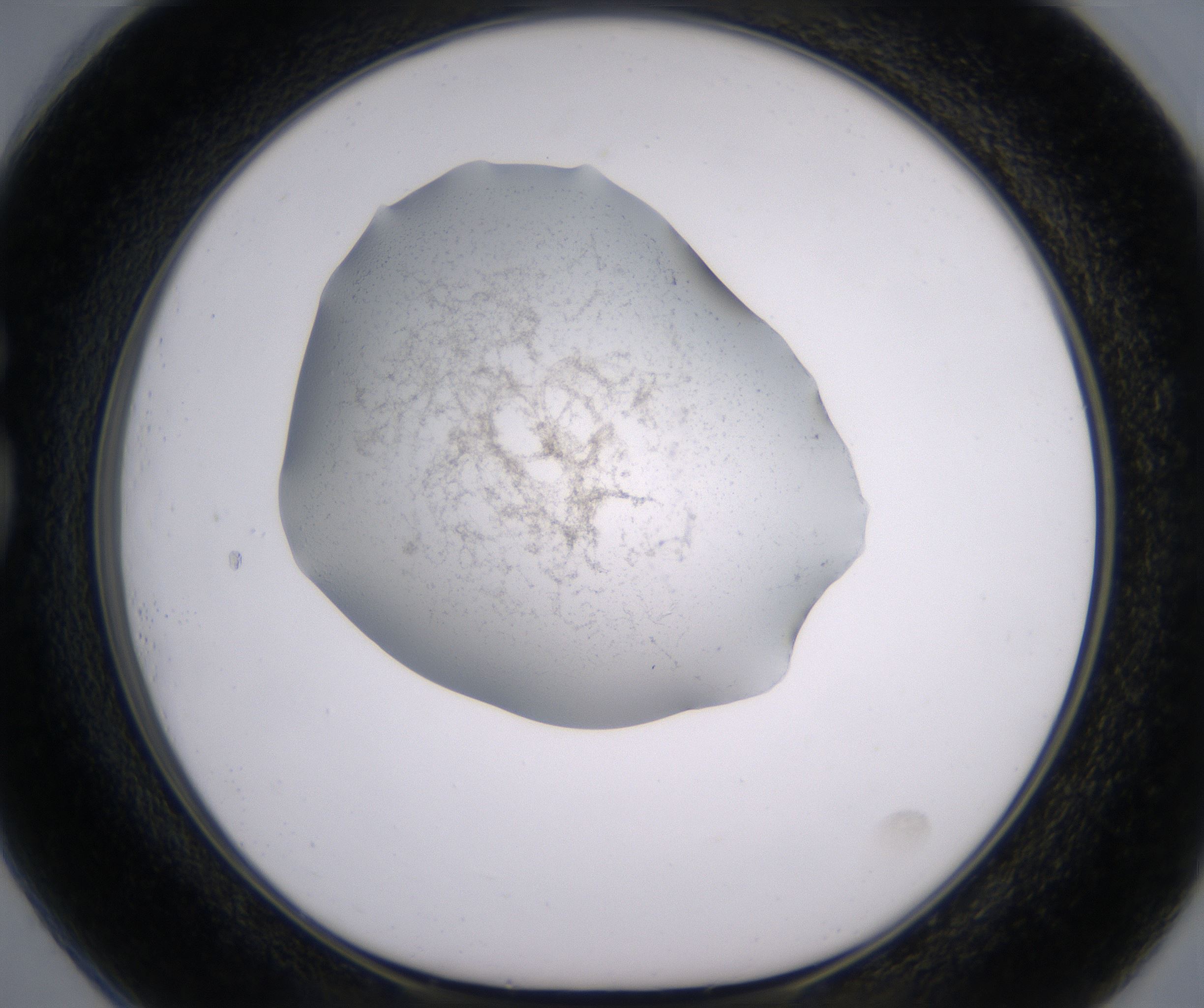 G1_HighResolution_Precipitate_1.jpg
