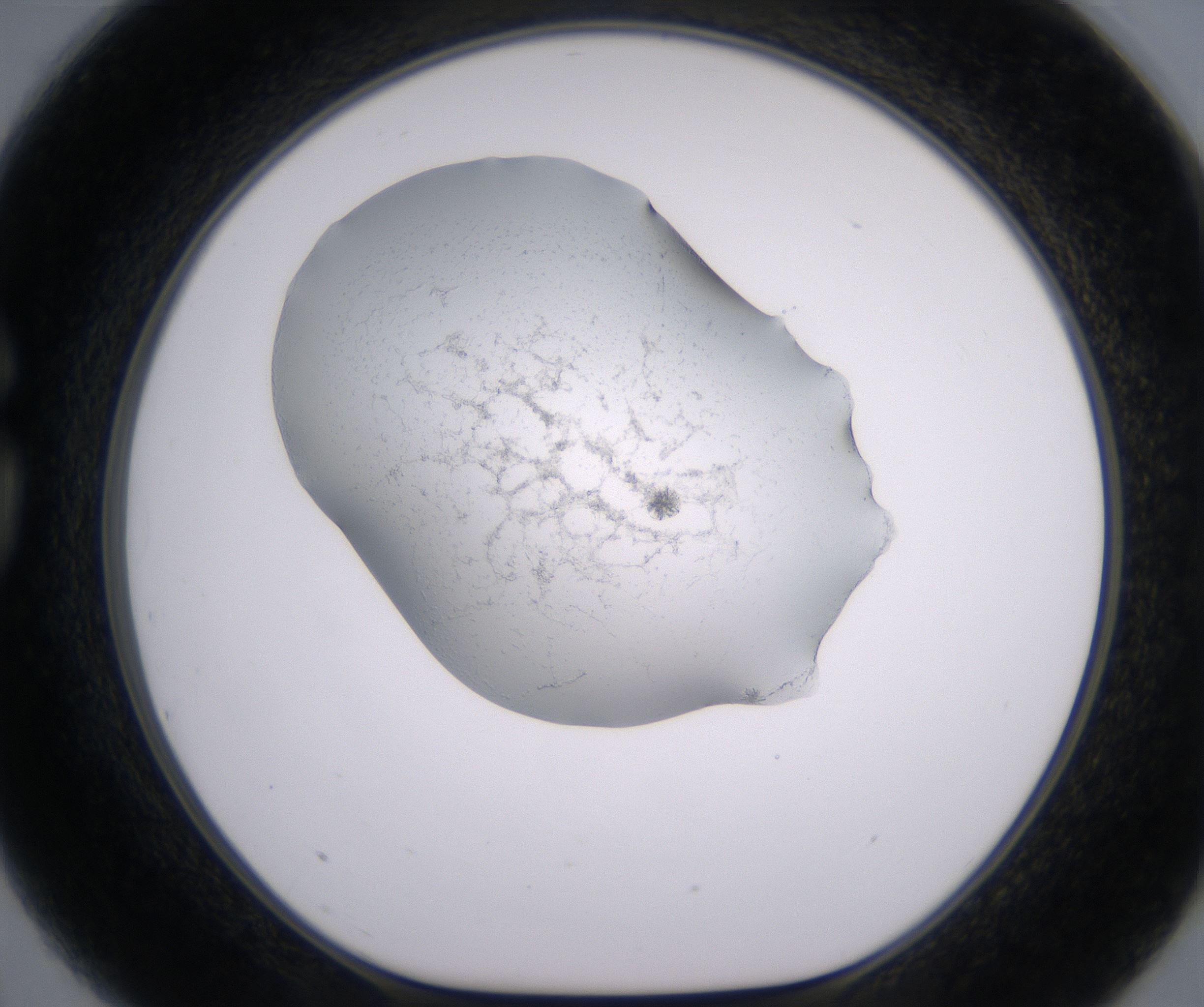 G3_HighResolution_Crystal_1.jpg