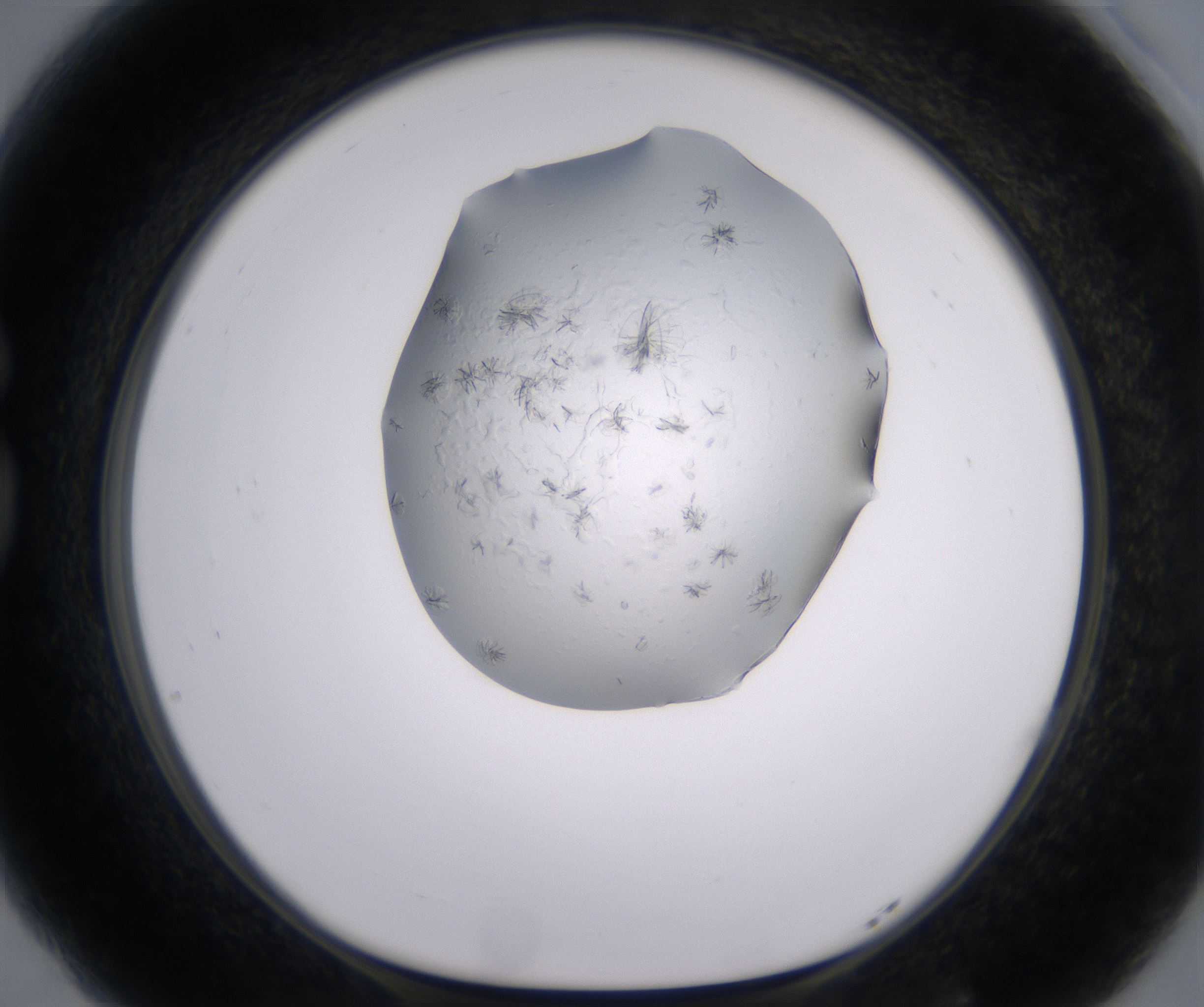 G5_HighResolution_Crystal_1.jpg