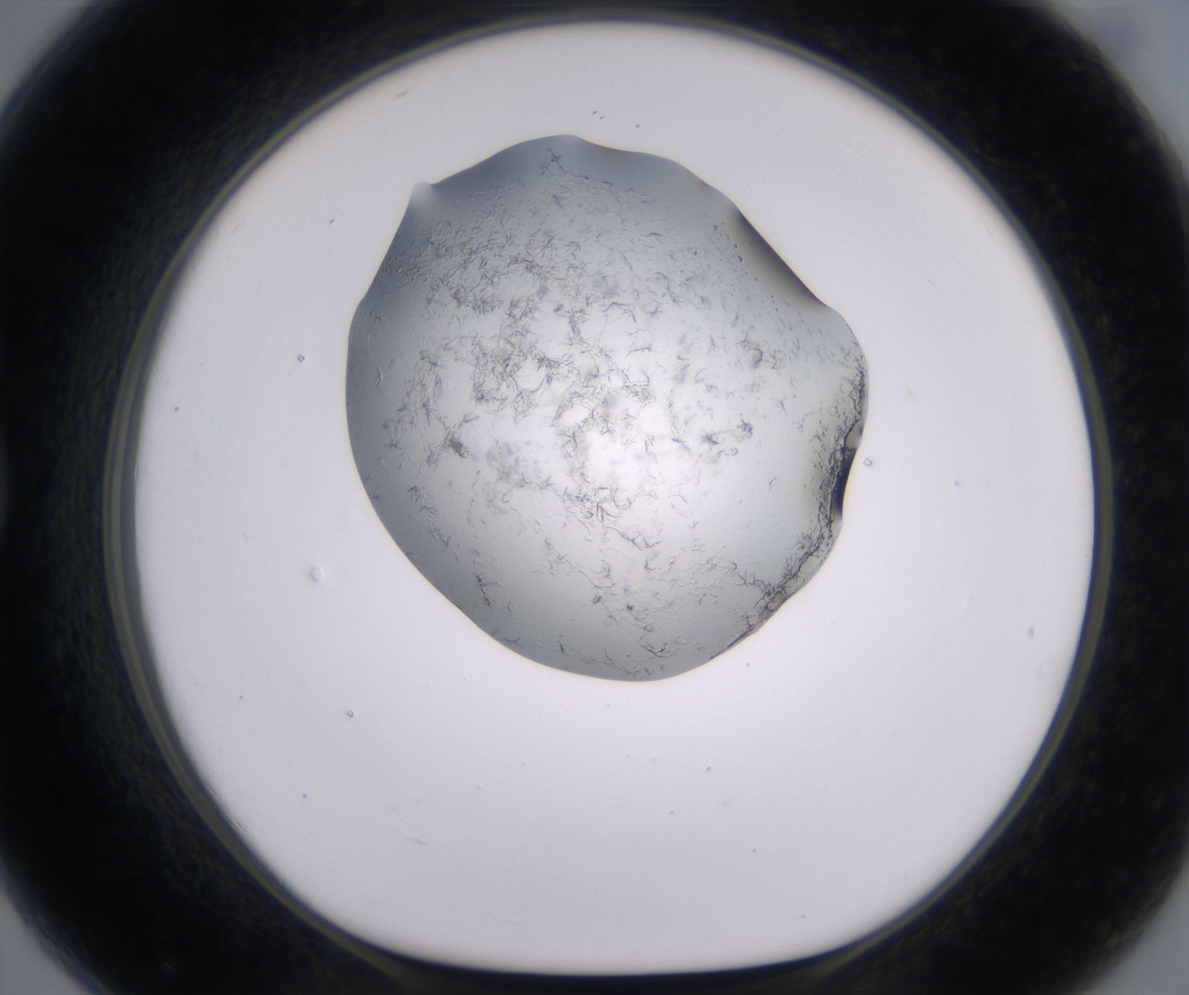G7_HighResolution_Crystal_1.jpg