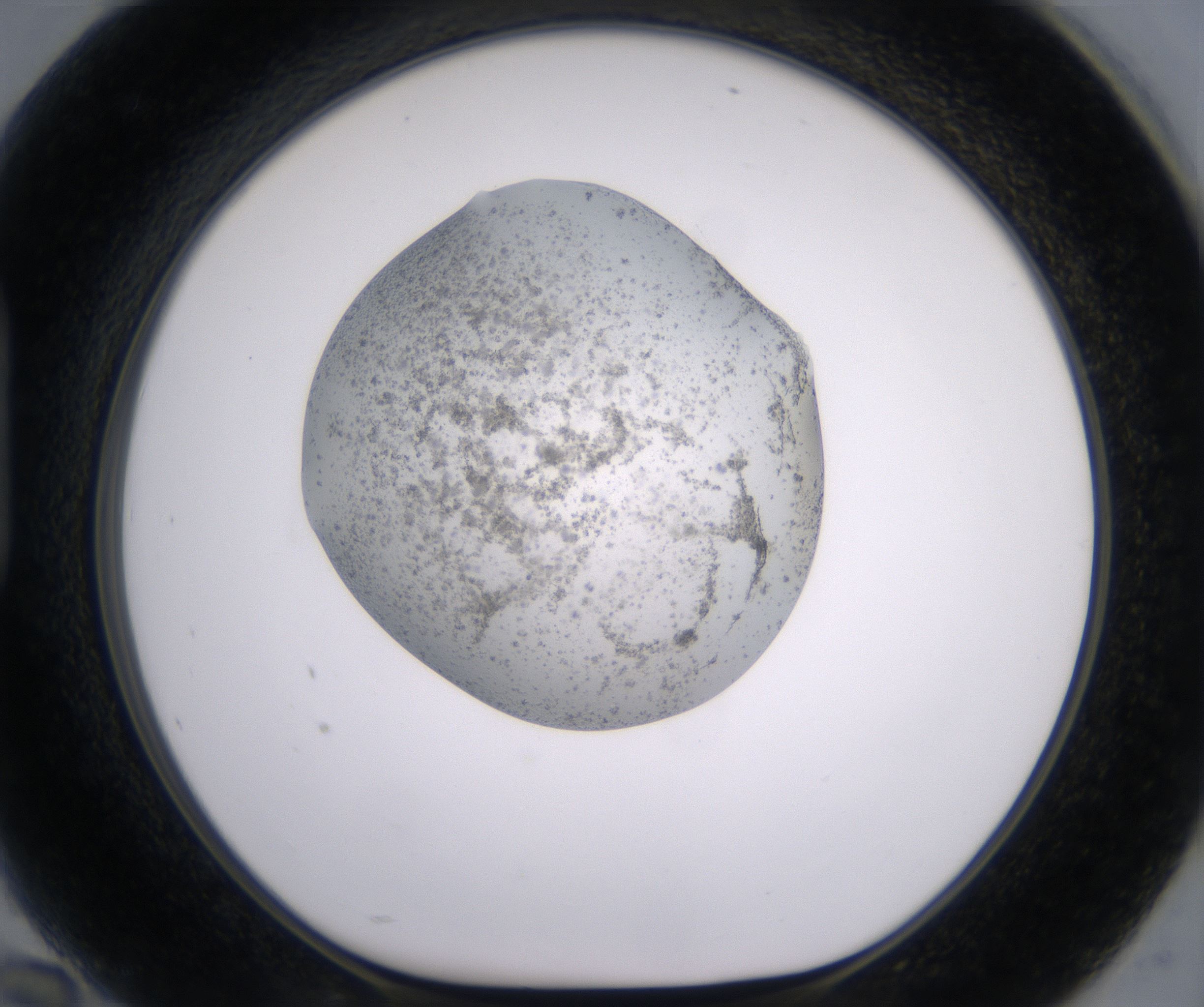 H10_HighResolution_Precipitate_1.jpg