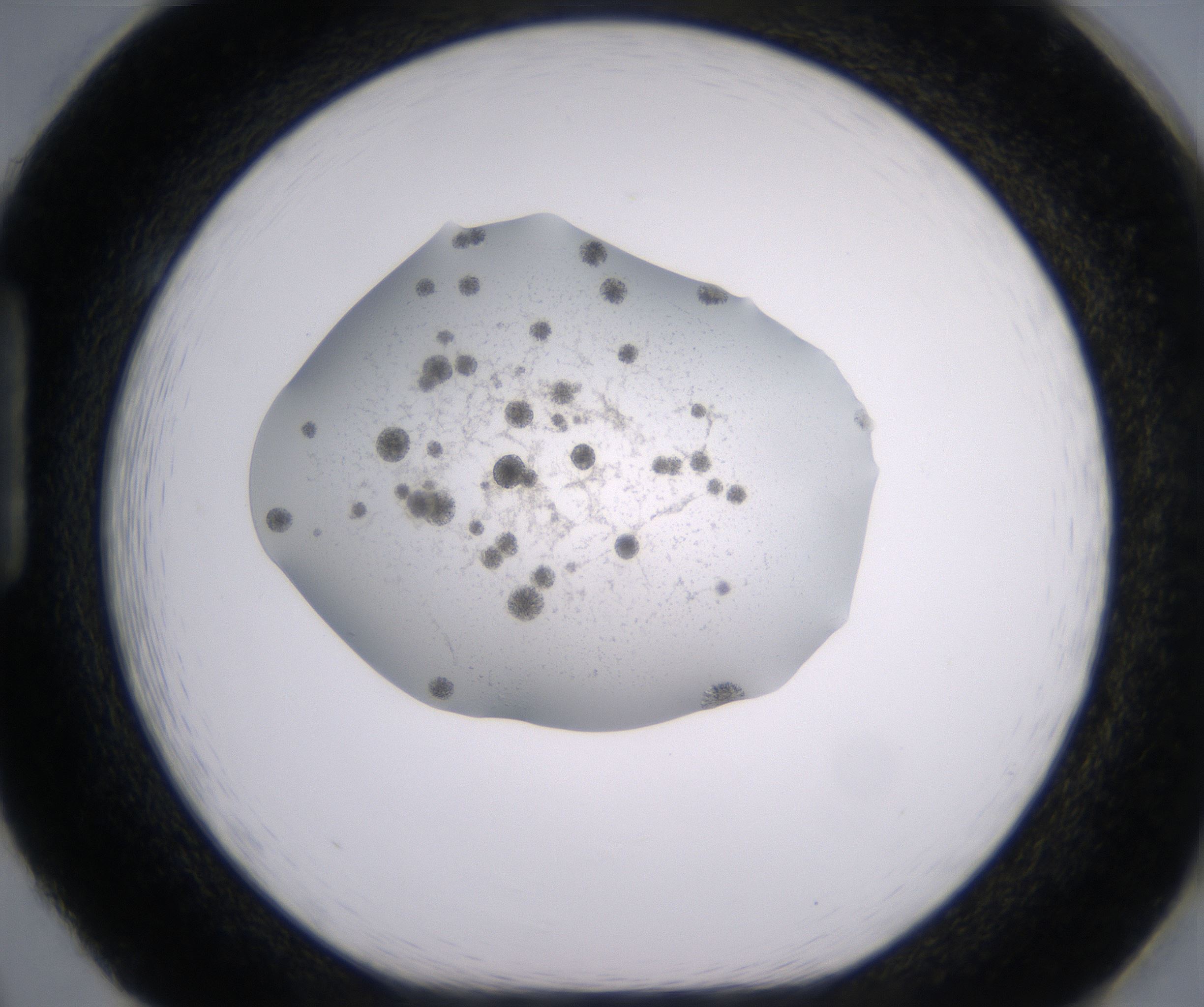 H2_HighResolution_Crystal_1.jpg