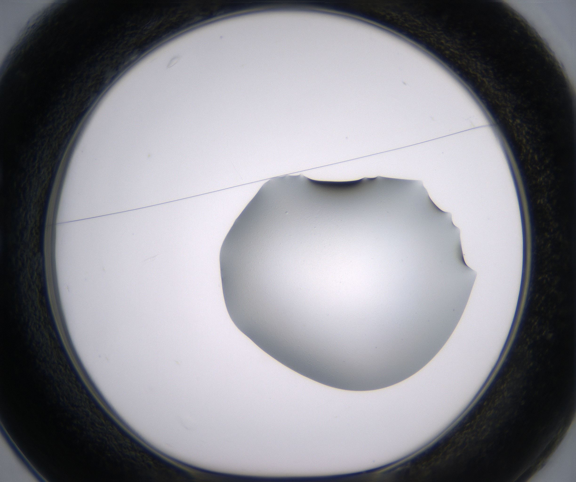 C1_HighResolution_Clear_1.jpg