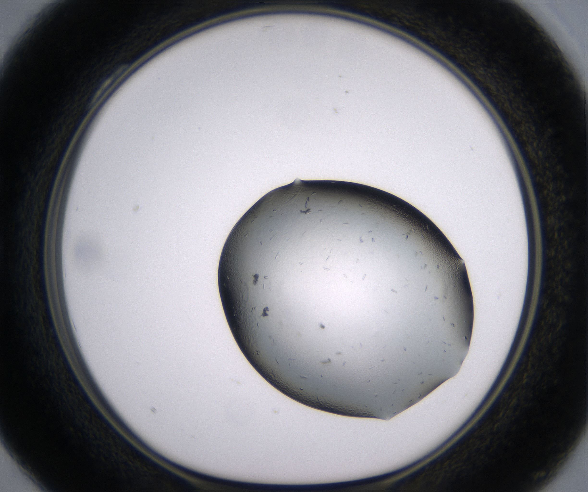 C4_HighResolution_Crystal_1.jpg