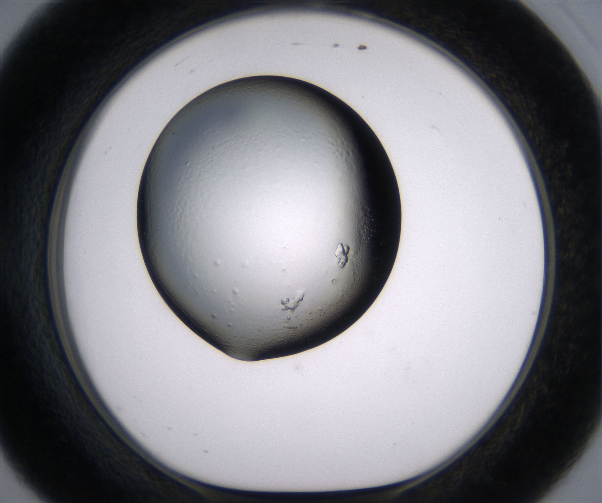 E8_HighResolution_Crystal_1.jpg