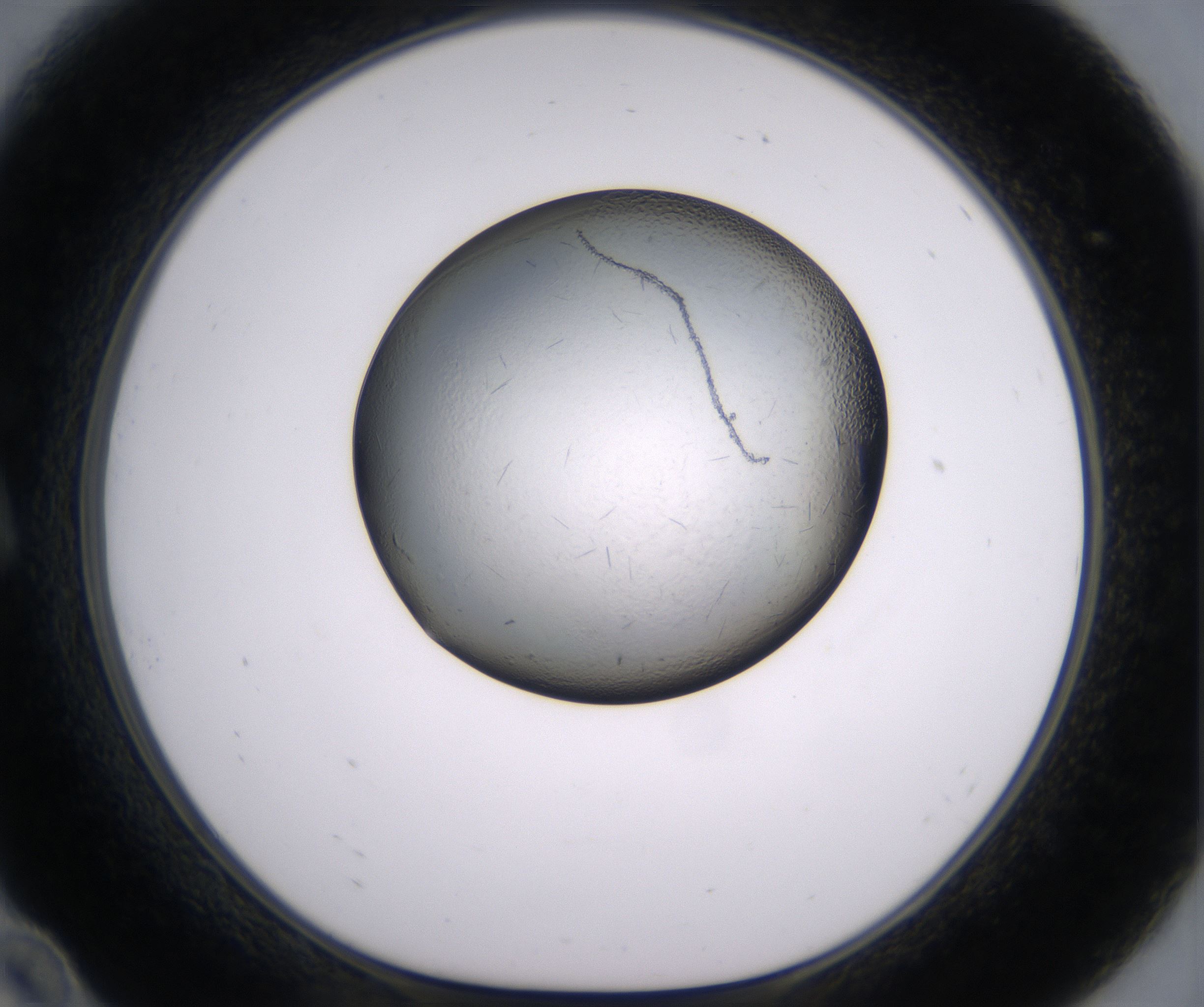 A10_HighResolution_Crystal_1.jpg
