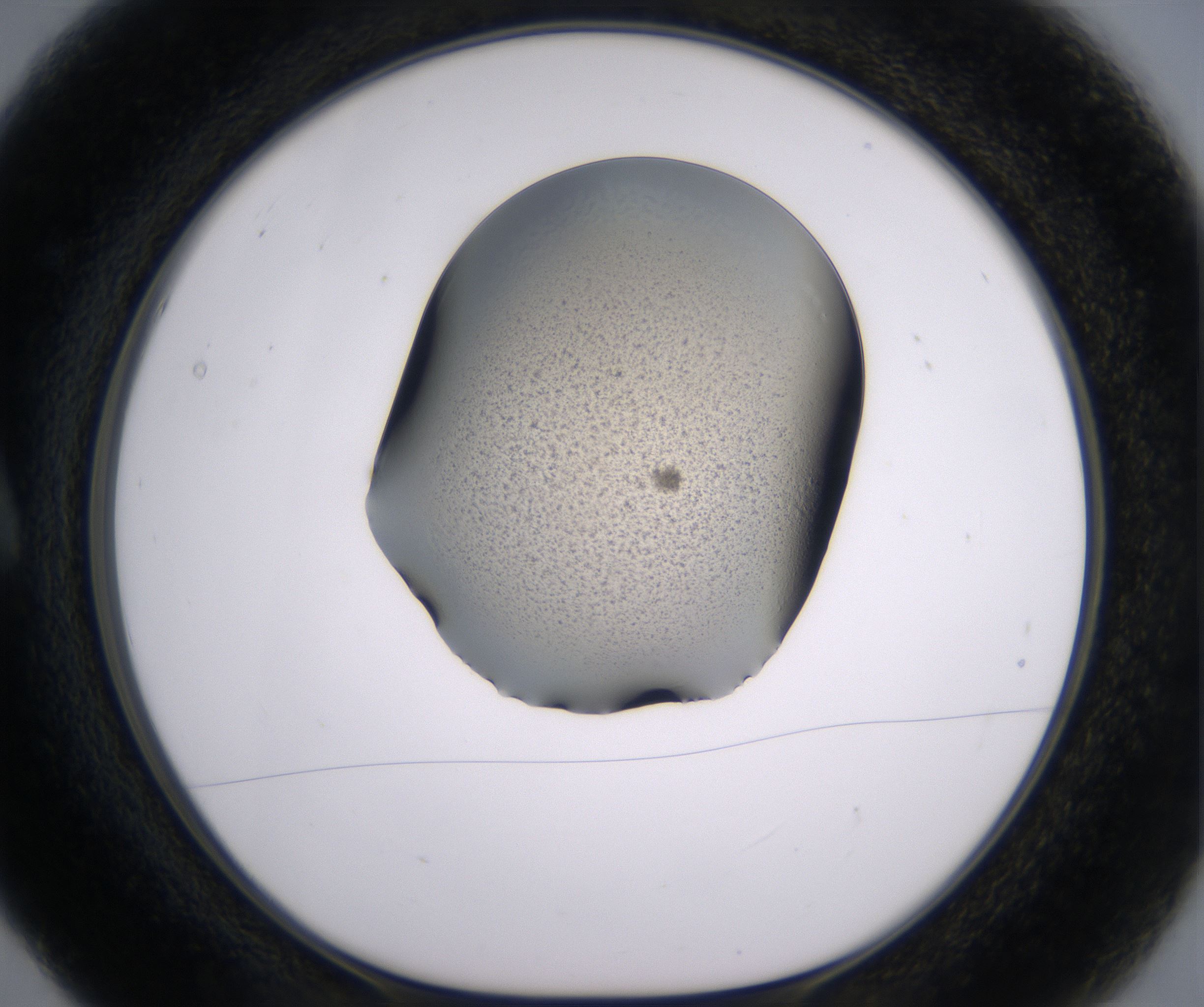 A5_HighResolution_Precipitate_1.jpg