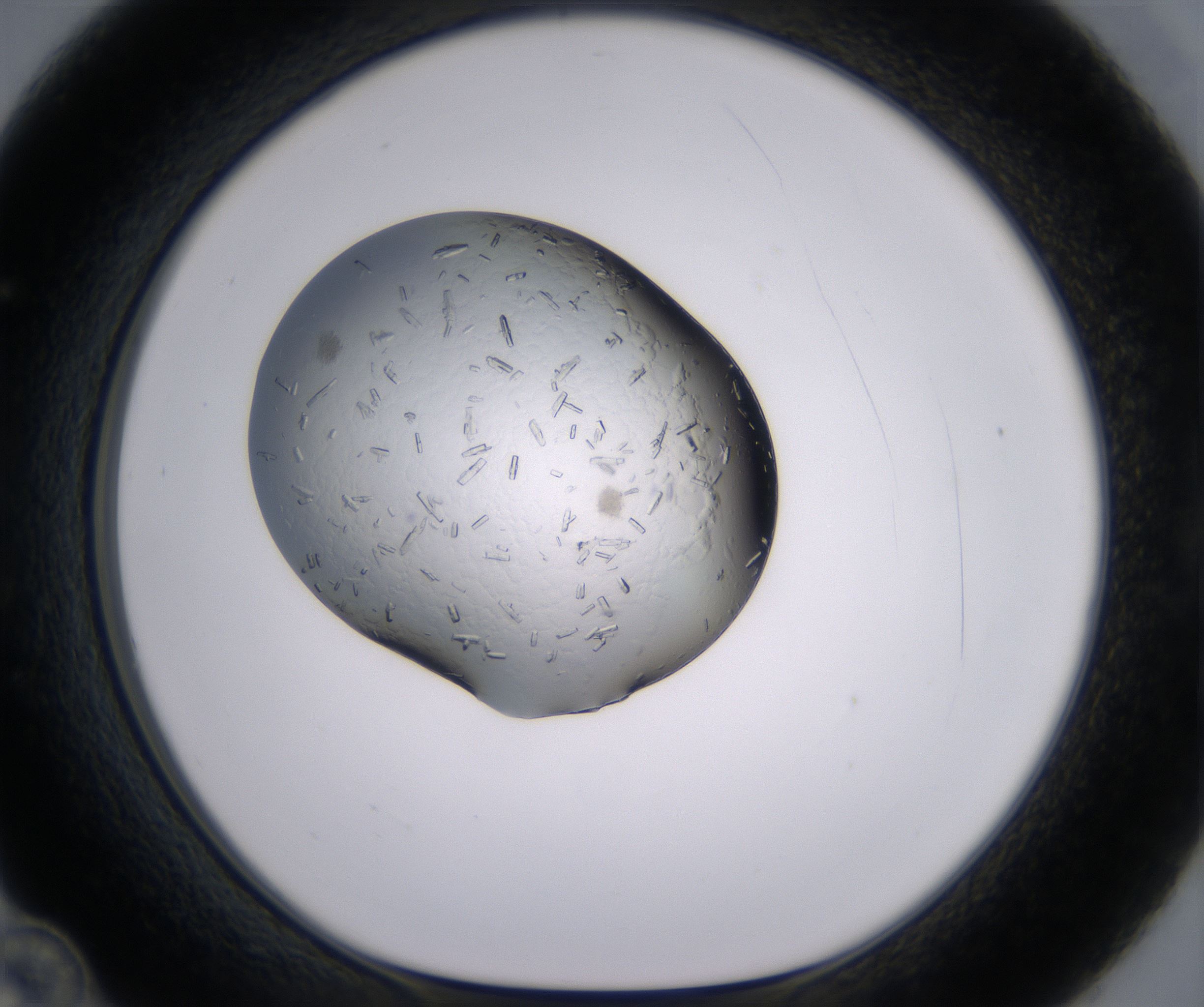 C12_HighResolution_Crystal_1.jpg