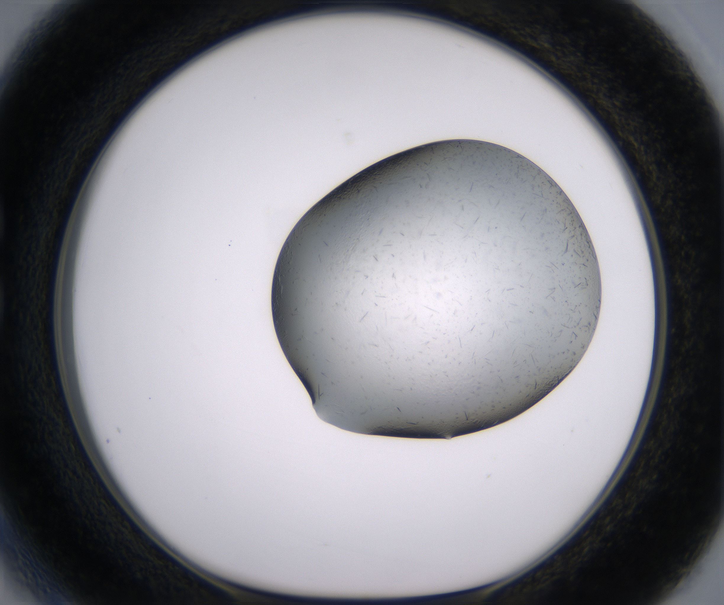 C3_HighResolution_Crystal_1.jpg