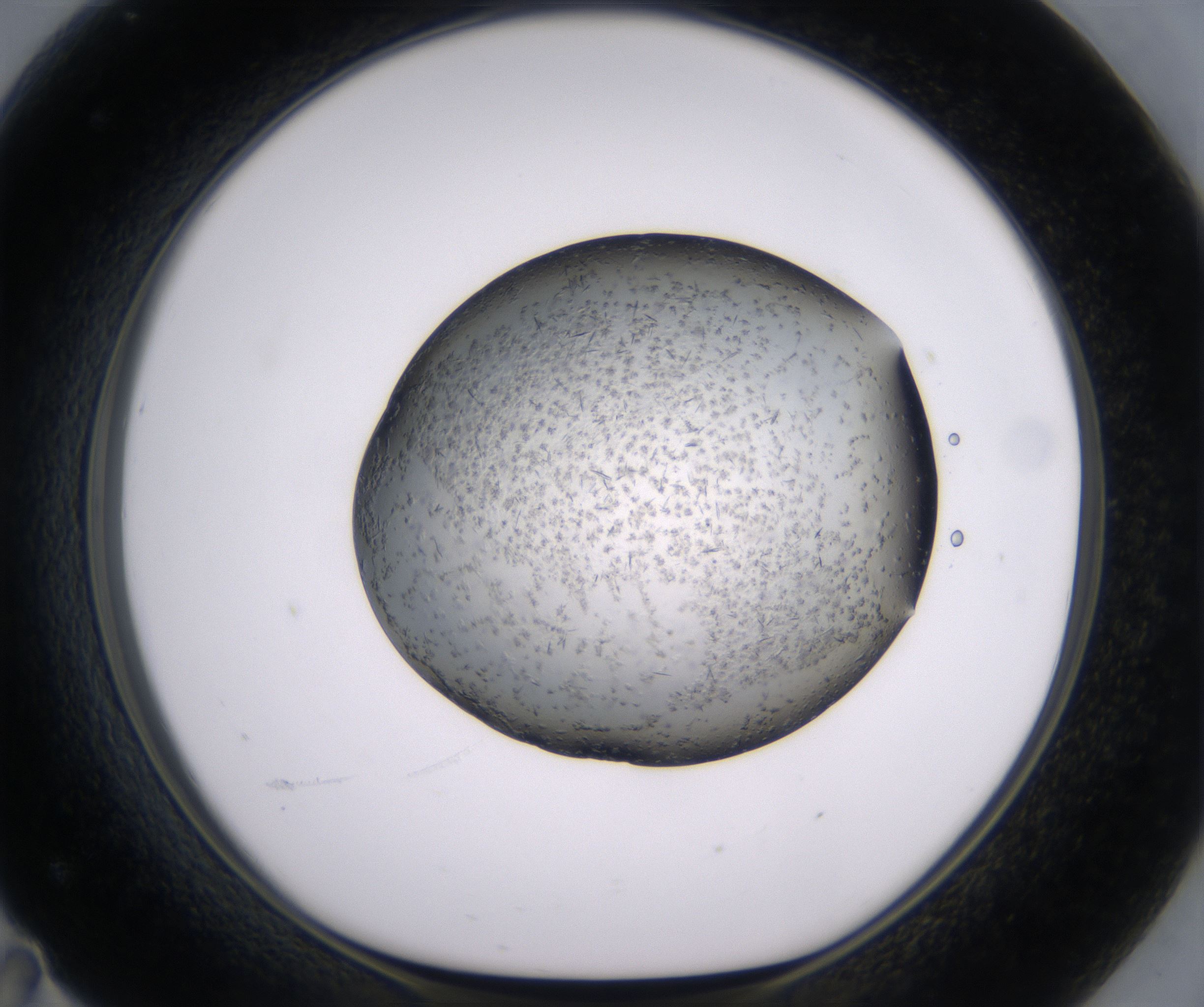 F11_HighResolution_Crystal_1.jpg
