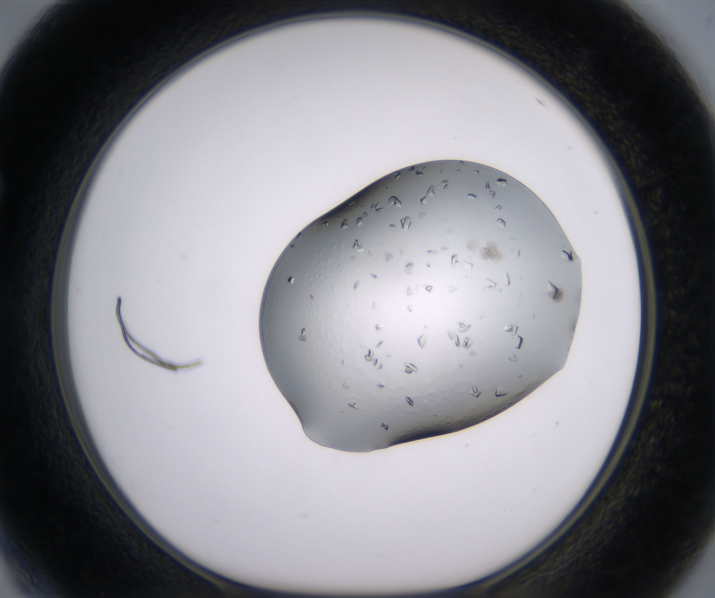 F4_HighResolution_Crystal_1.jpg