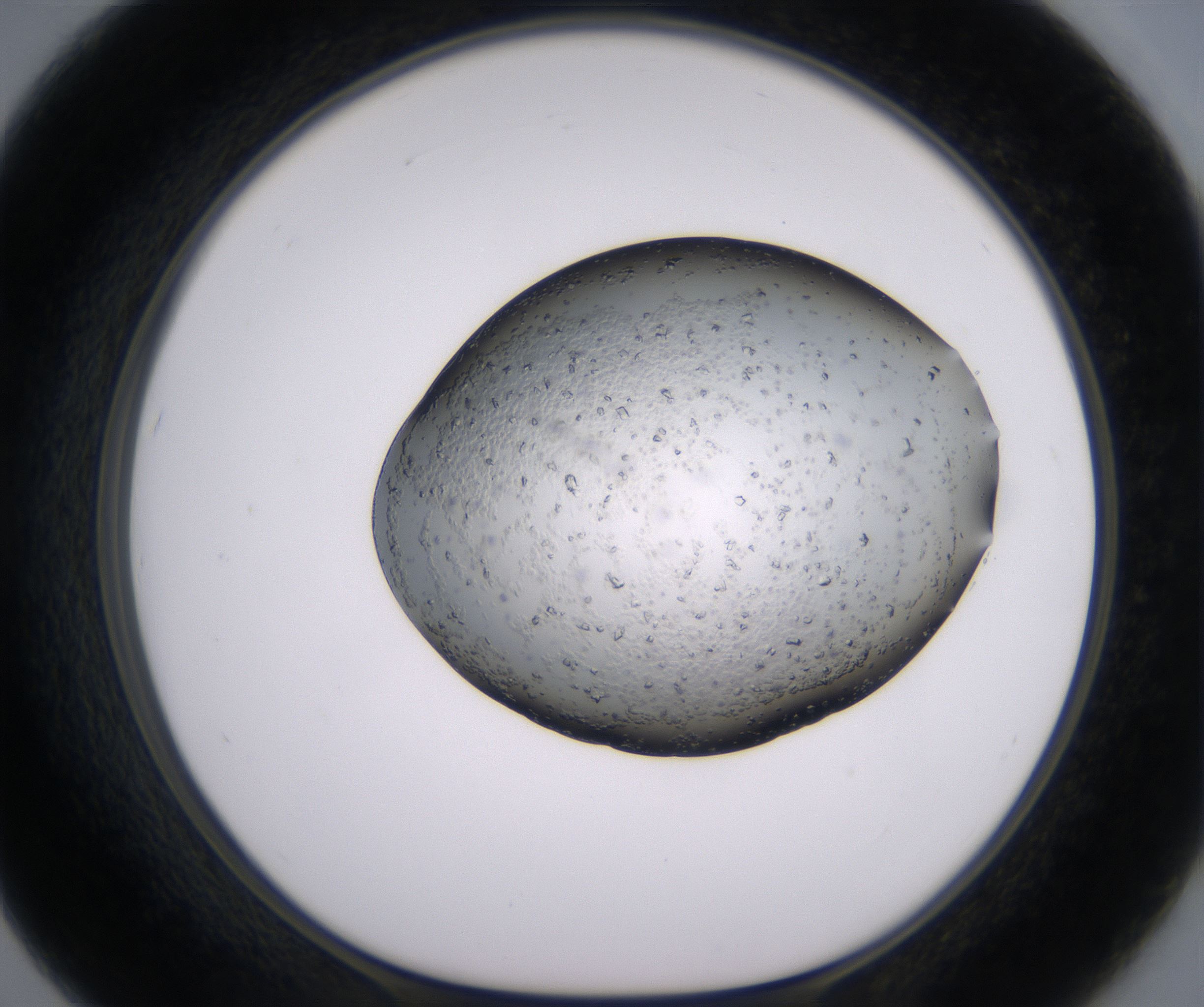 F7_HighResolution_Crystal_1.jpg