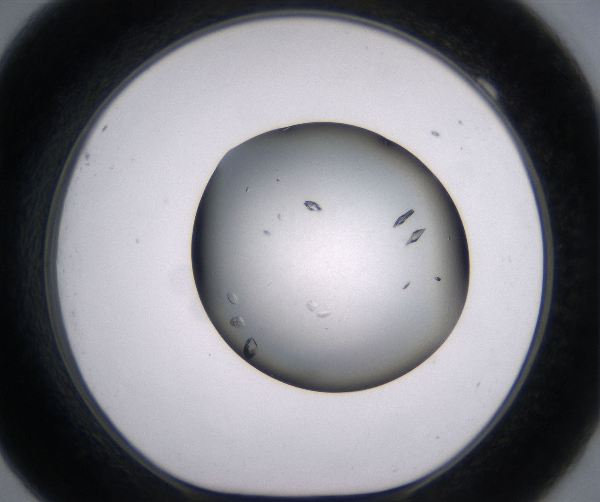 F9_HighResolution_Crystal_1.jpg
