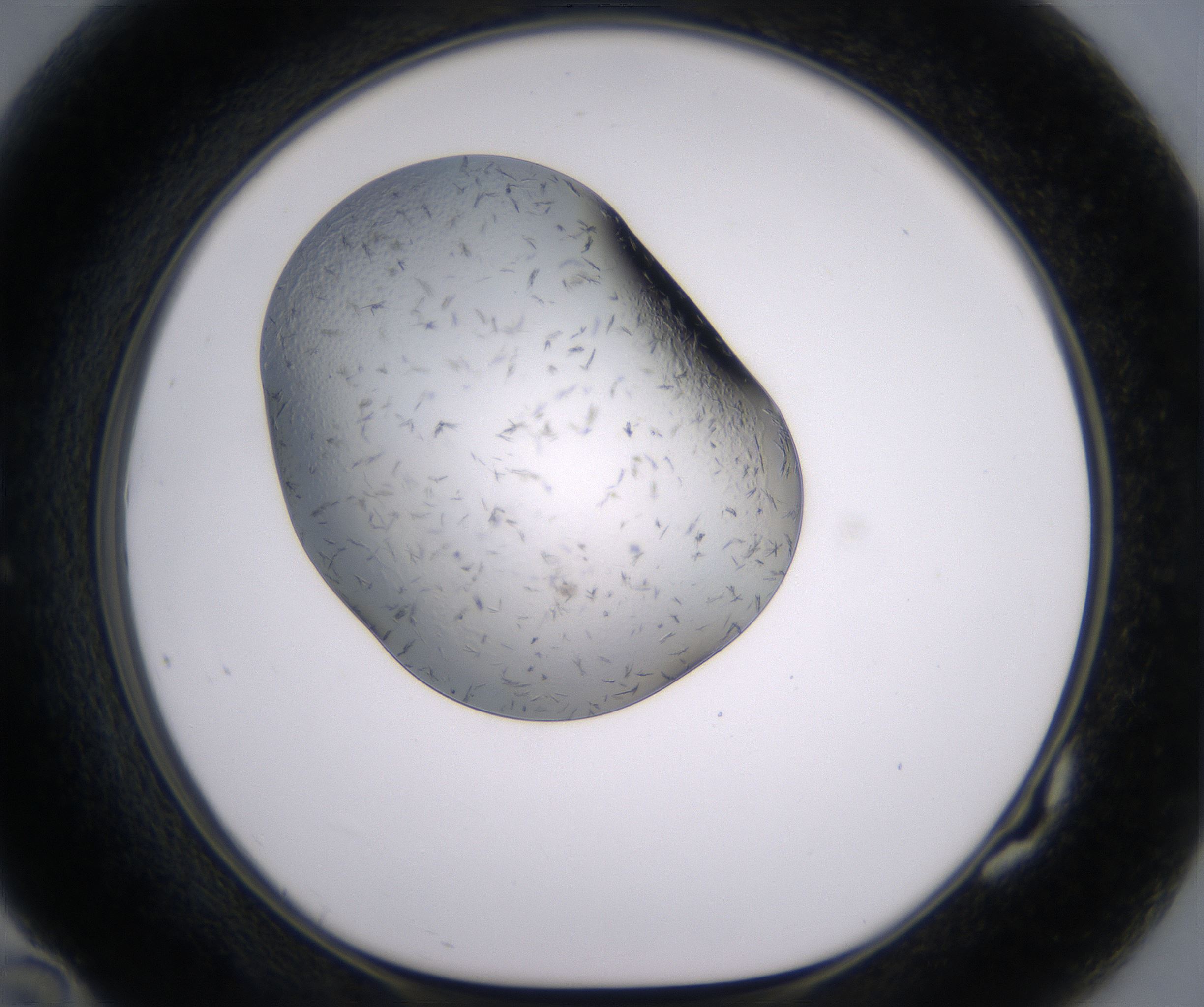 G10_HighResolution_Crystal_1.jpg